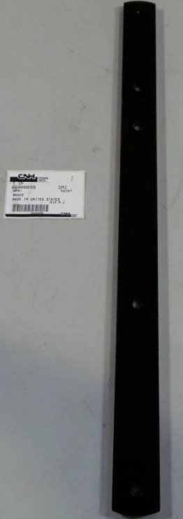 BRACE | CASECE | CA | EN