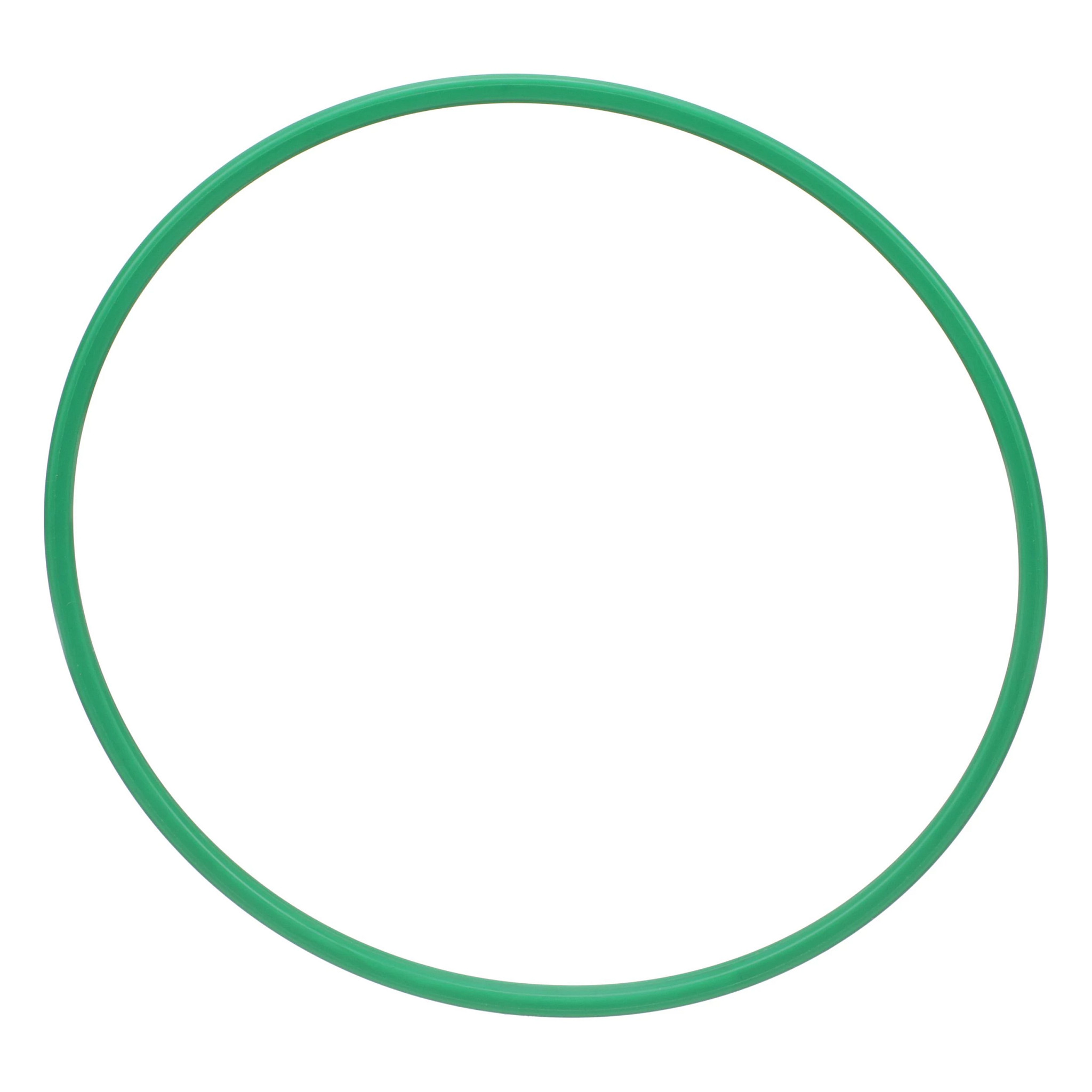 BACK-UP RING | CASECE | CA | EN