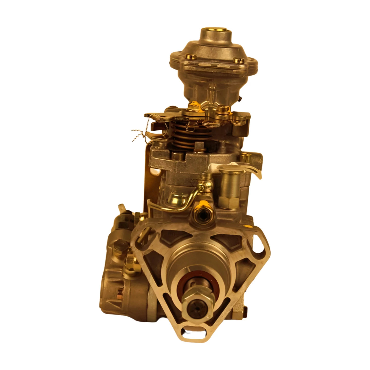 REMAN-FUEL INJ PUMP | NEWHOLLANDAG | US | EN