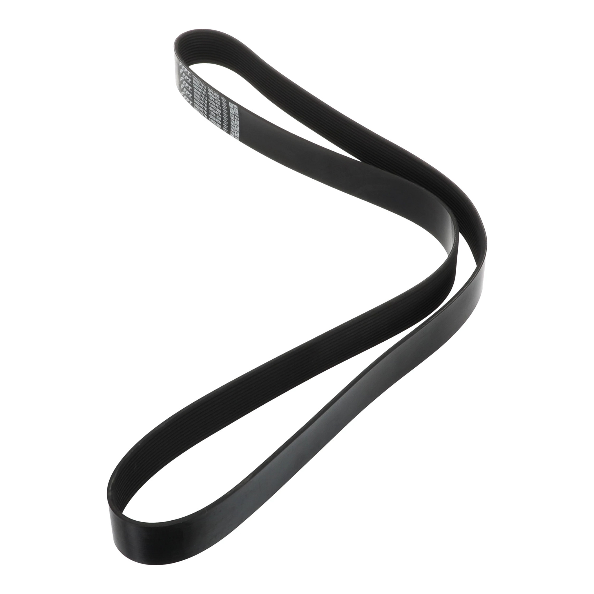 BELT | CASECE | US | EN