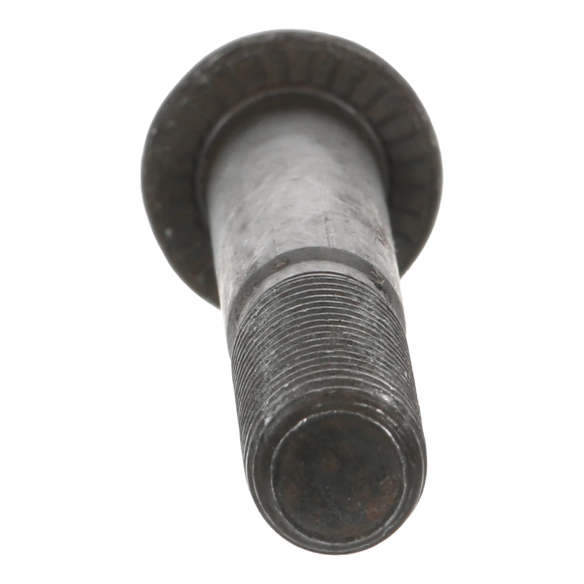 SCREW | CASECE | IE | EN