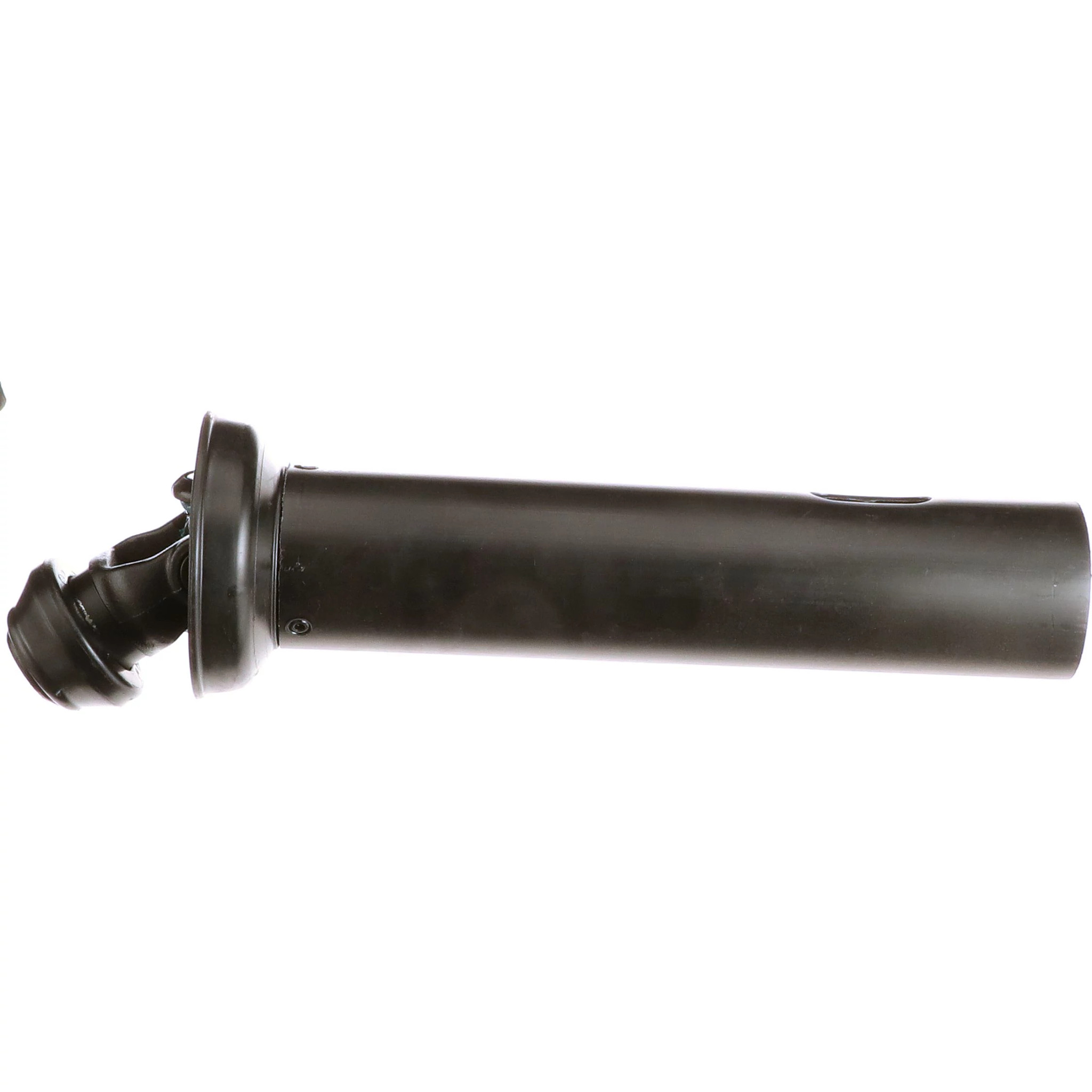 TOMADA DE FORCA DIAN