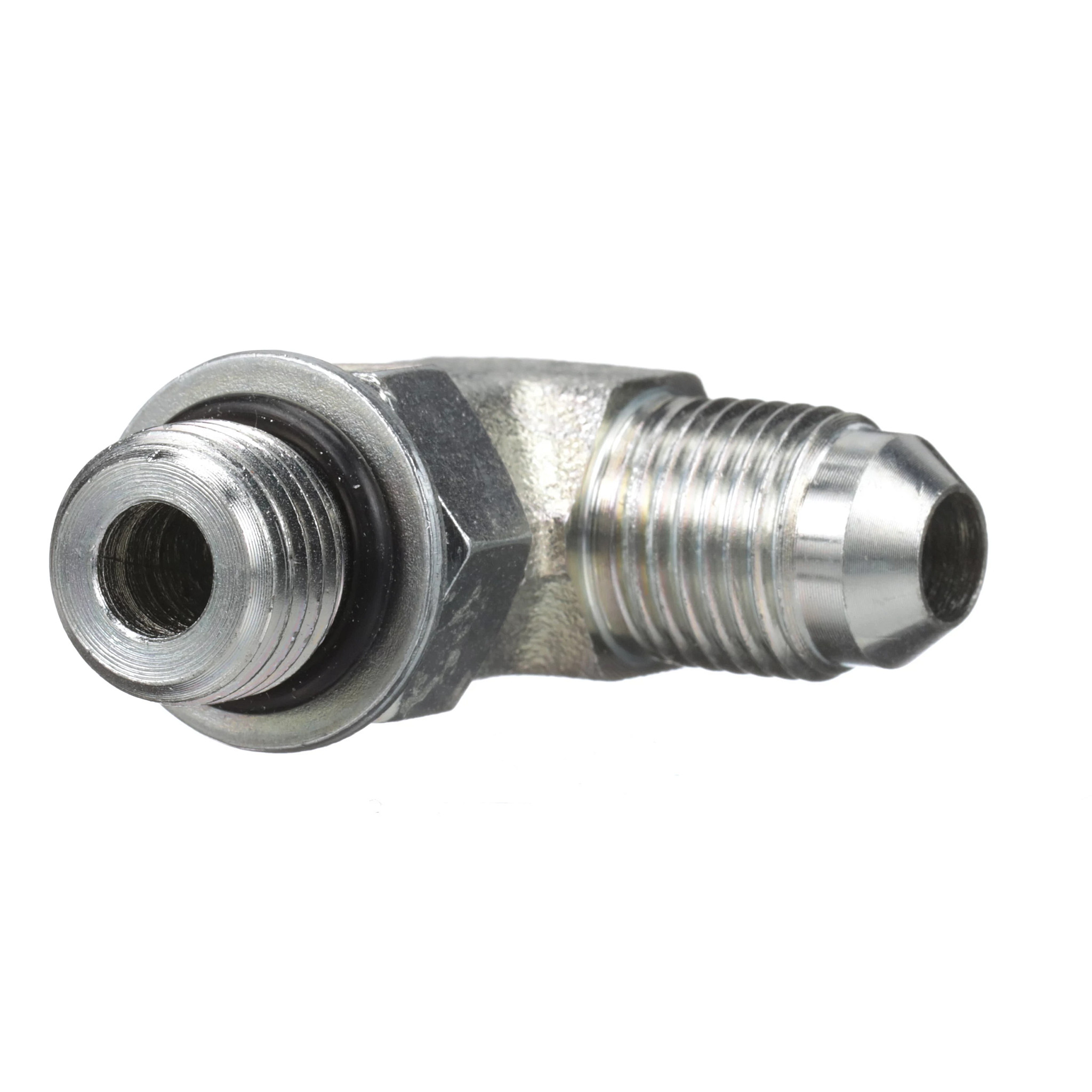 COTOVELO | CASECE | BR | PT