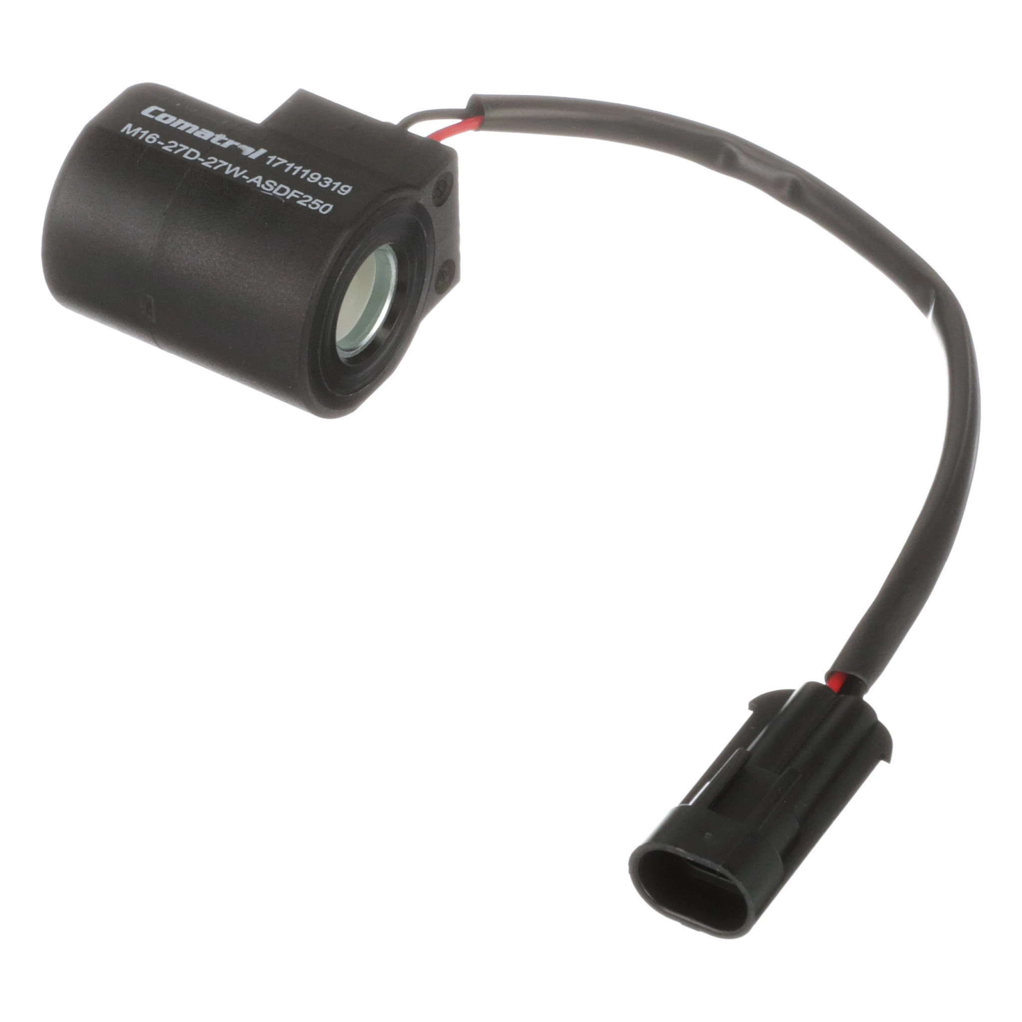 Coil | CASECE | CA | EN