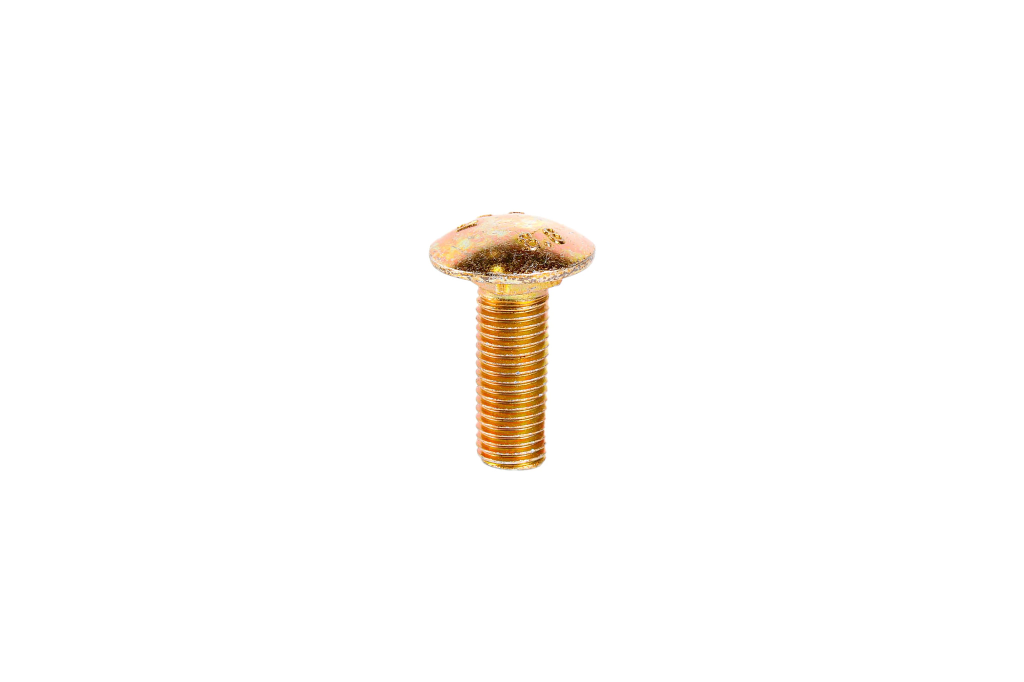 CARRIAGE BOLT | CASECE | US | EN