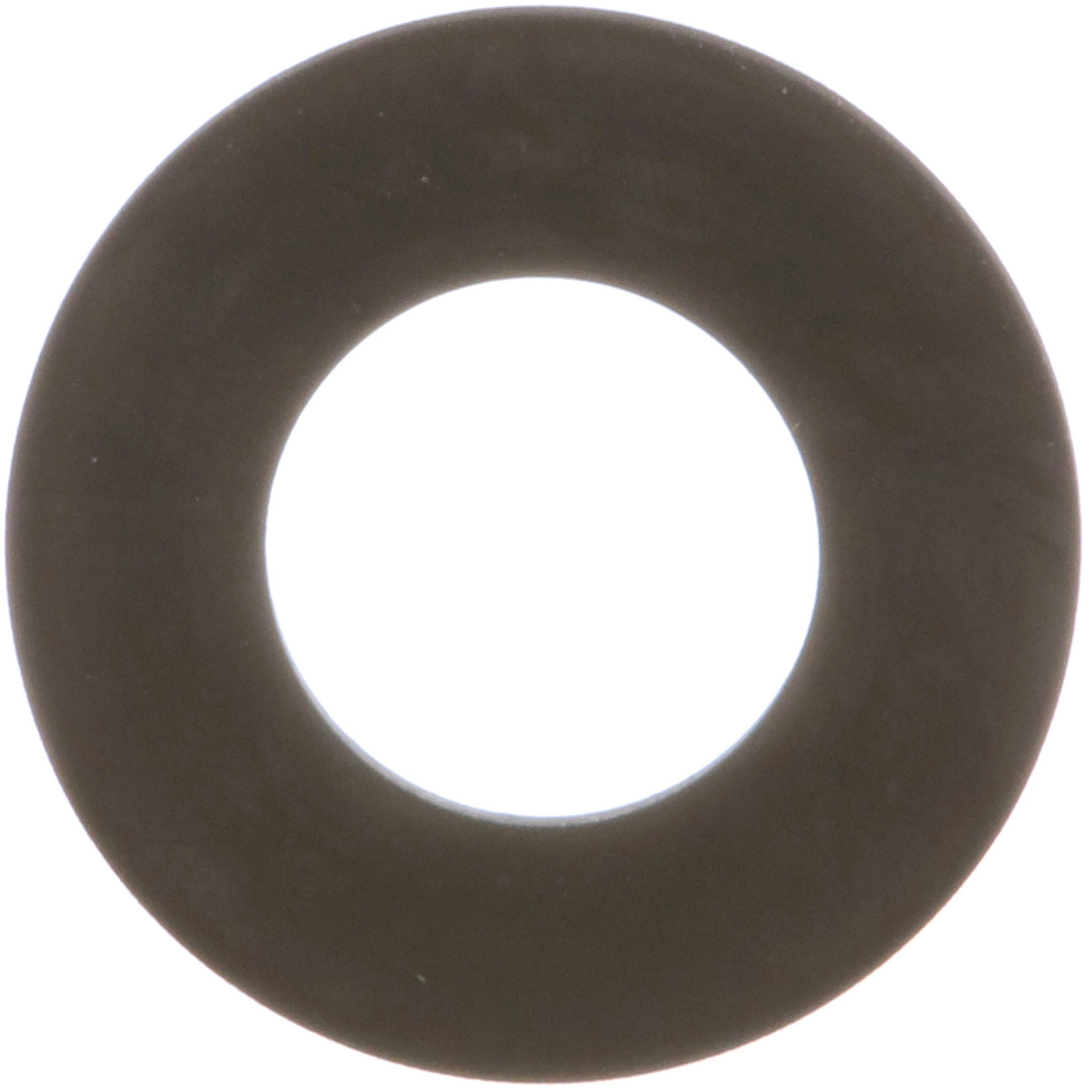 WASHER | CASECE | AMEA | EN