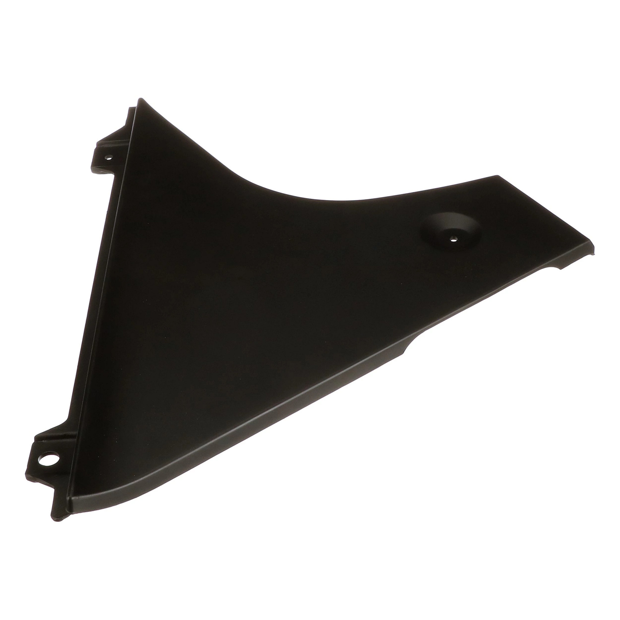 PANEL | CASECE | AMEA | EN