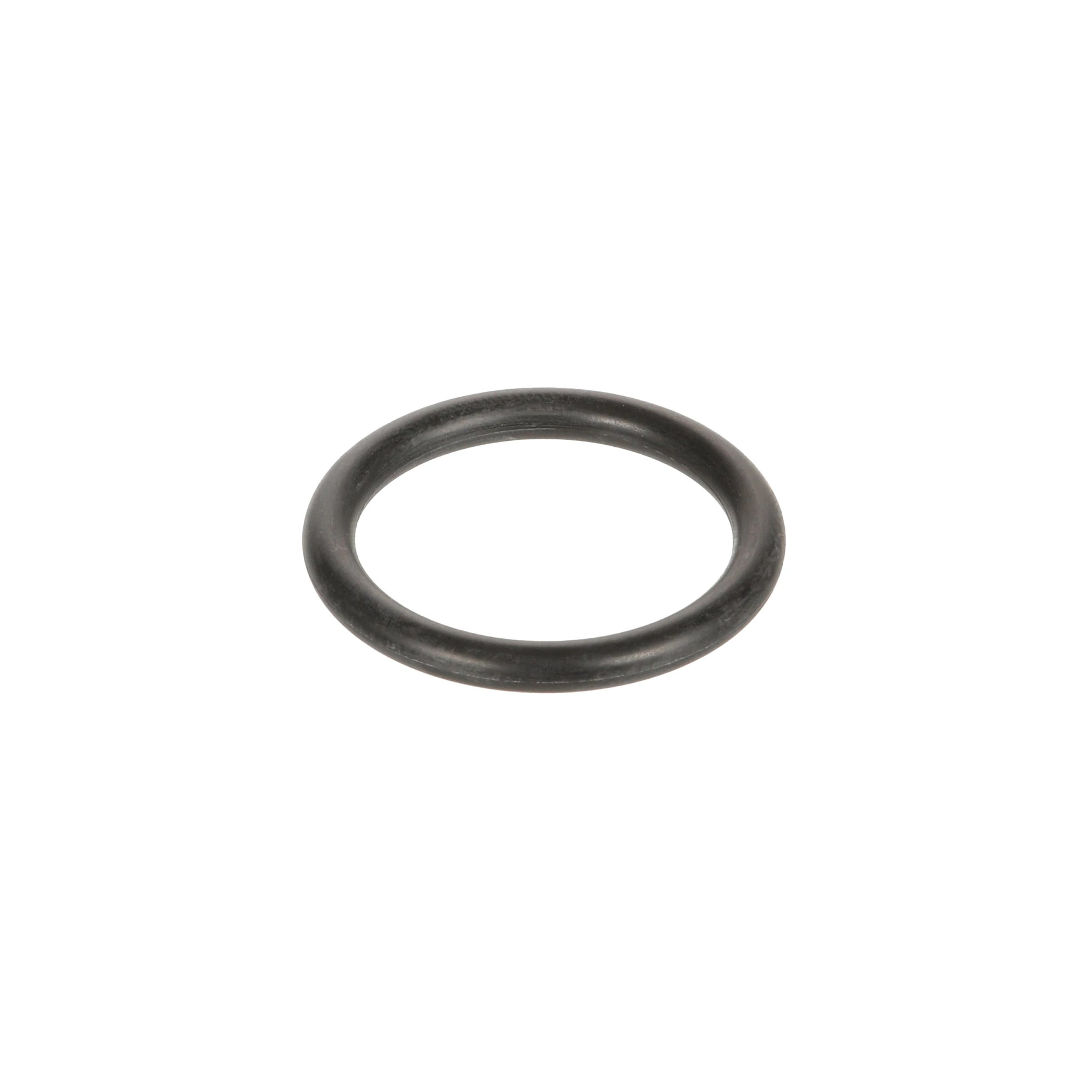 O-RING | CASECE | BR | PT