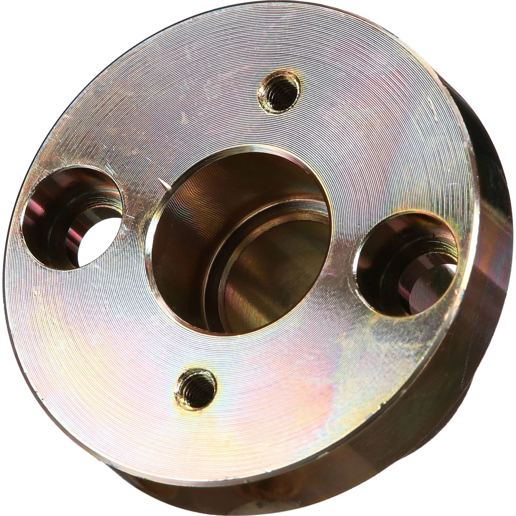 COLLAR | CASECE | US | EN