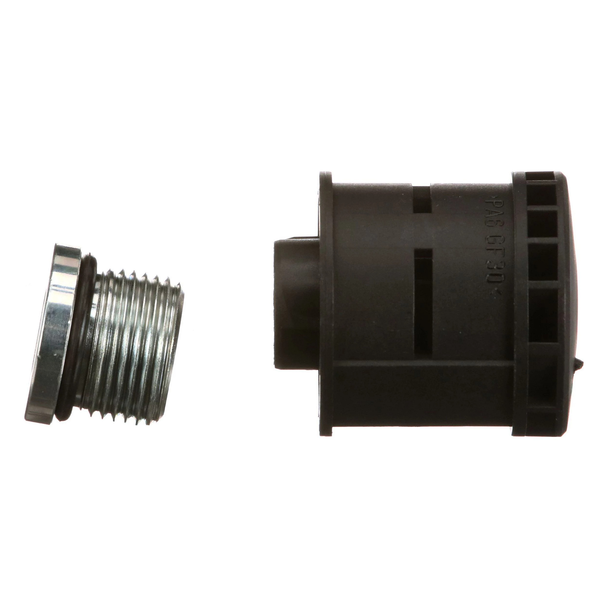 FIP KIT | CASECE | CA | EN