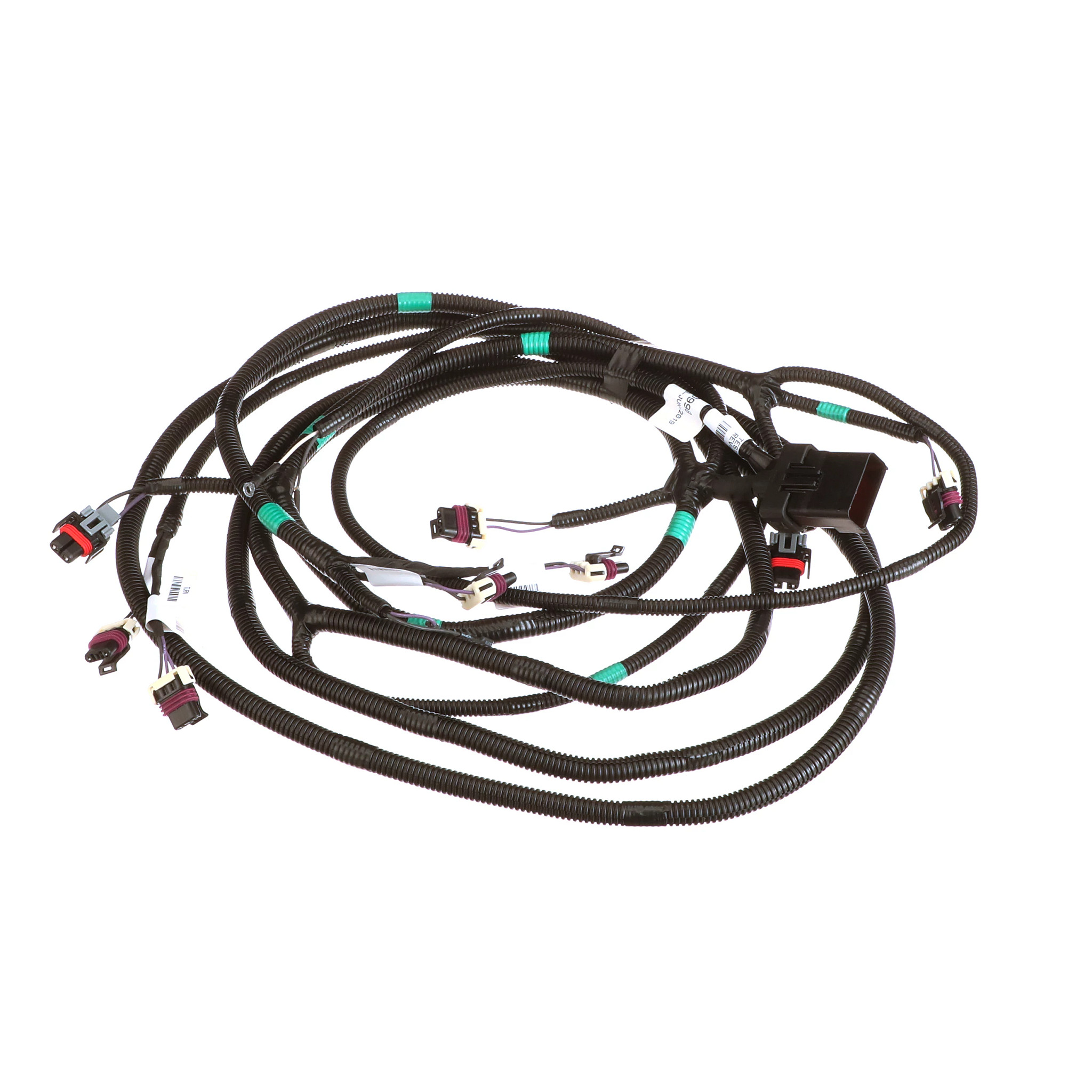 CHICOTE | CASECE | BR | PT