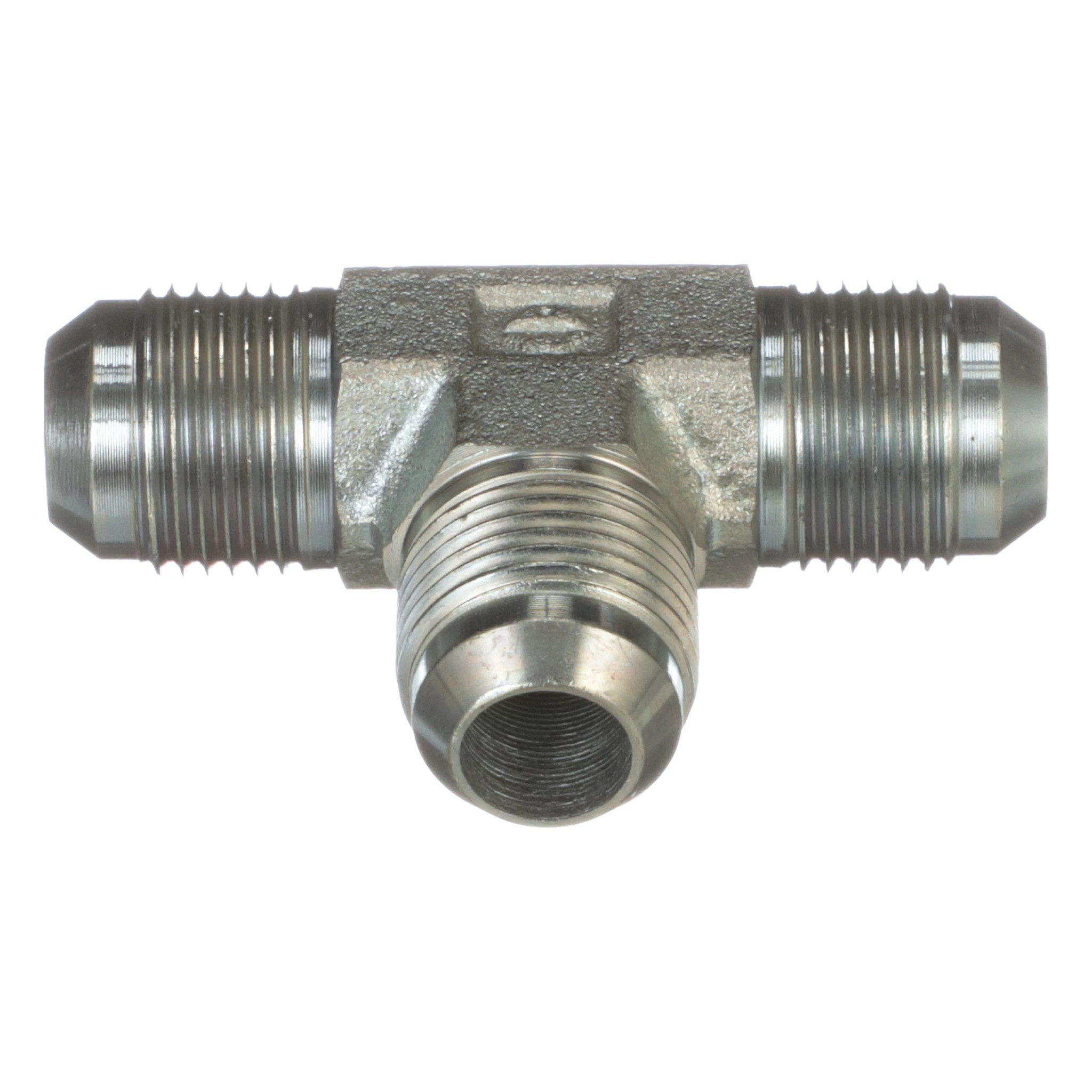 TEE | CASECE | US | EN