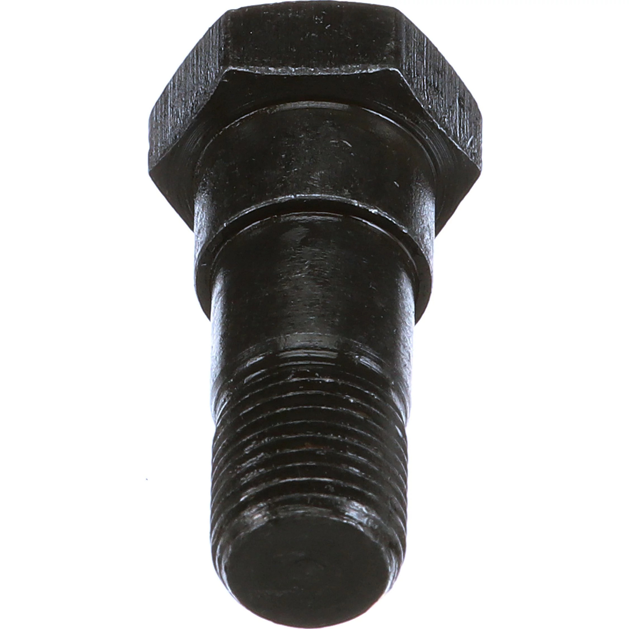 BOLT | CASECE | CA | EN