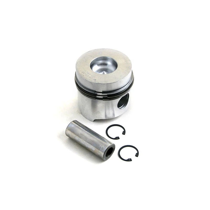 PISTON & RINGS KIT | CASEIH | CA | EN