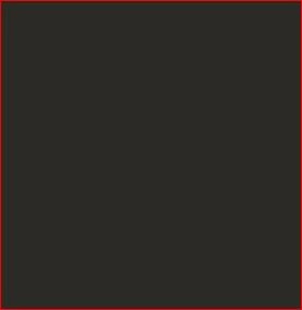 Semi-Gloss Black Enamel Paint - Aerosol Can | CASEIH | NZ | EN