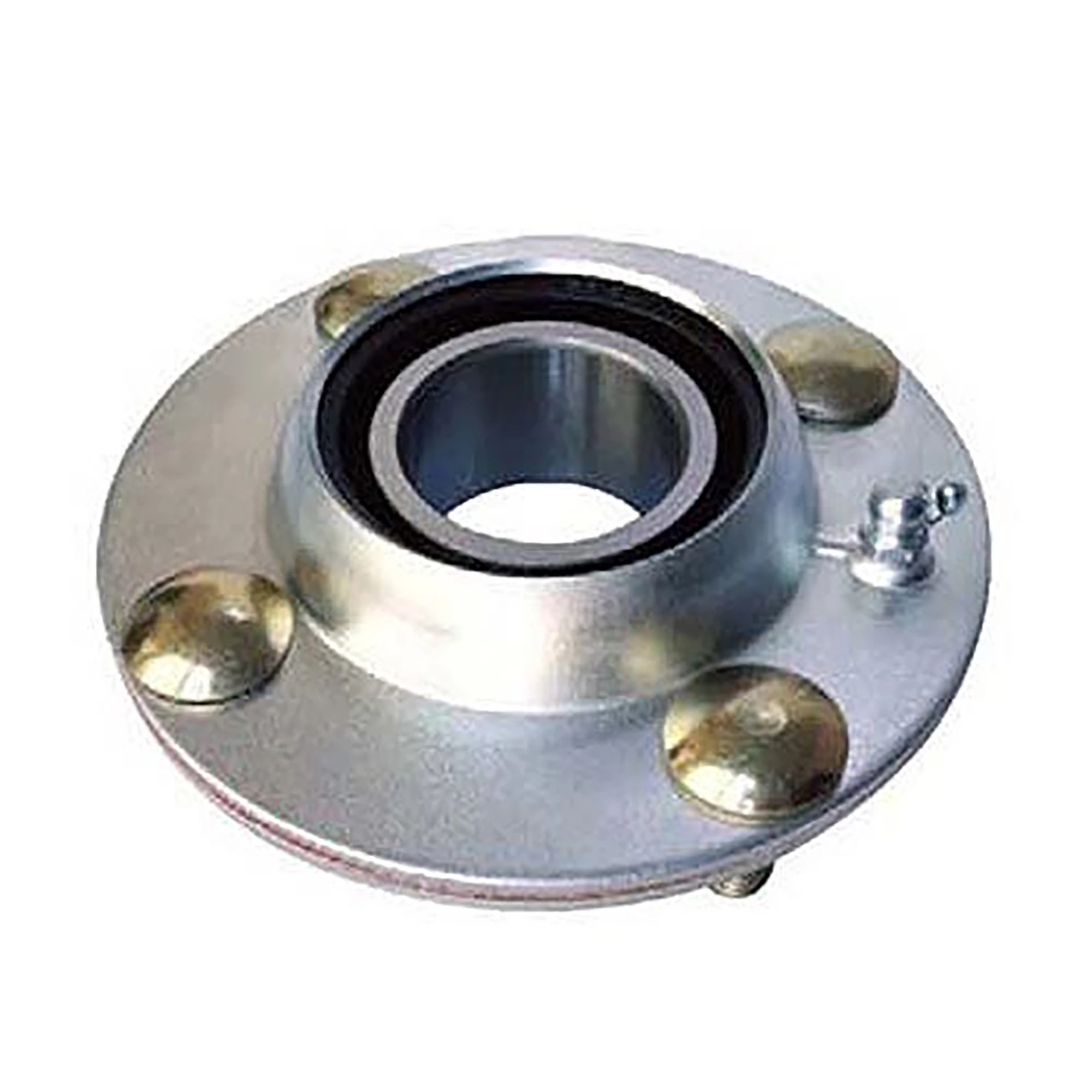 Disc Harrow Gang Bearing Kit | CASECE | CA | EN