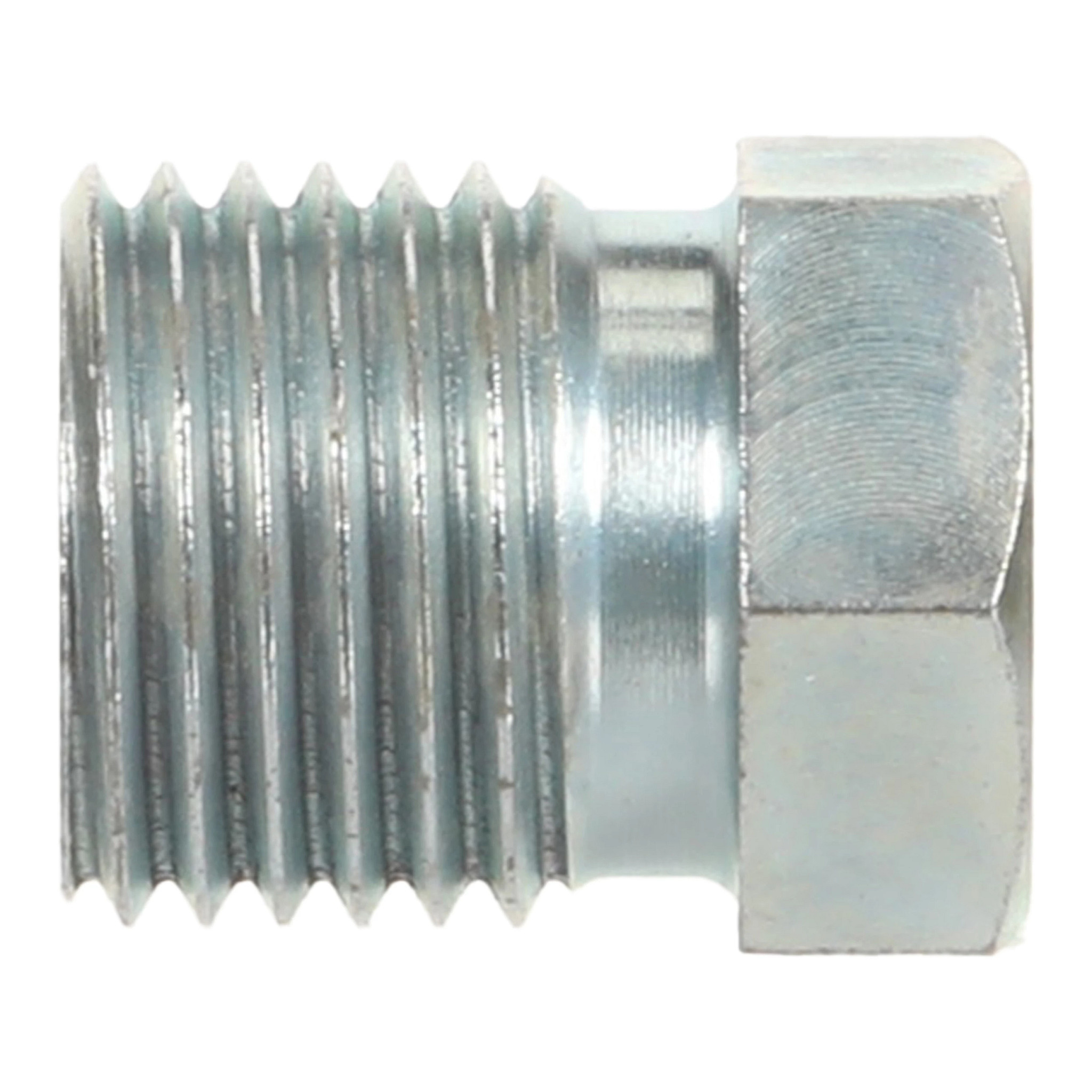 NUT | CASECE | CA | EN