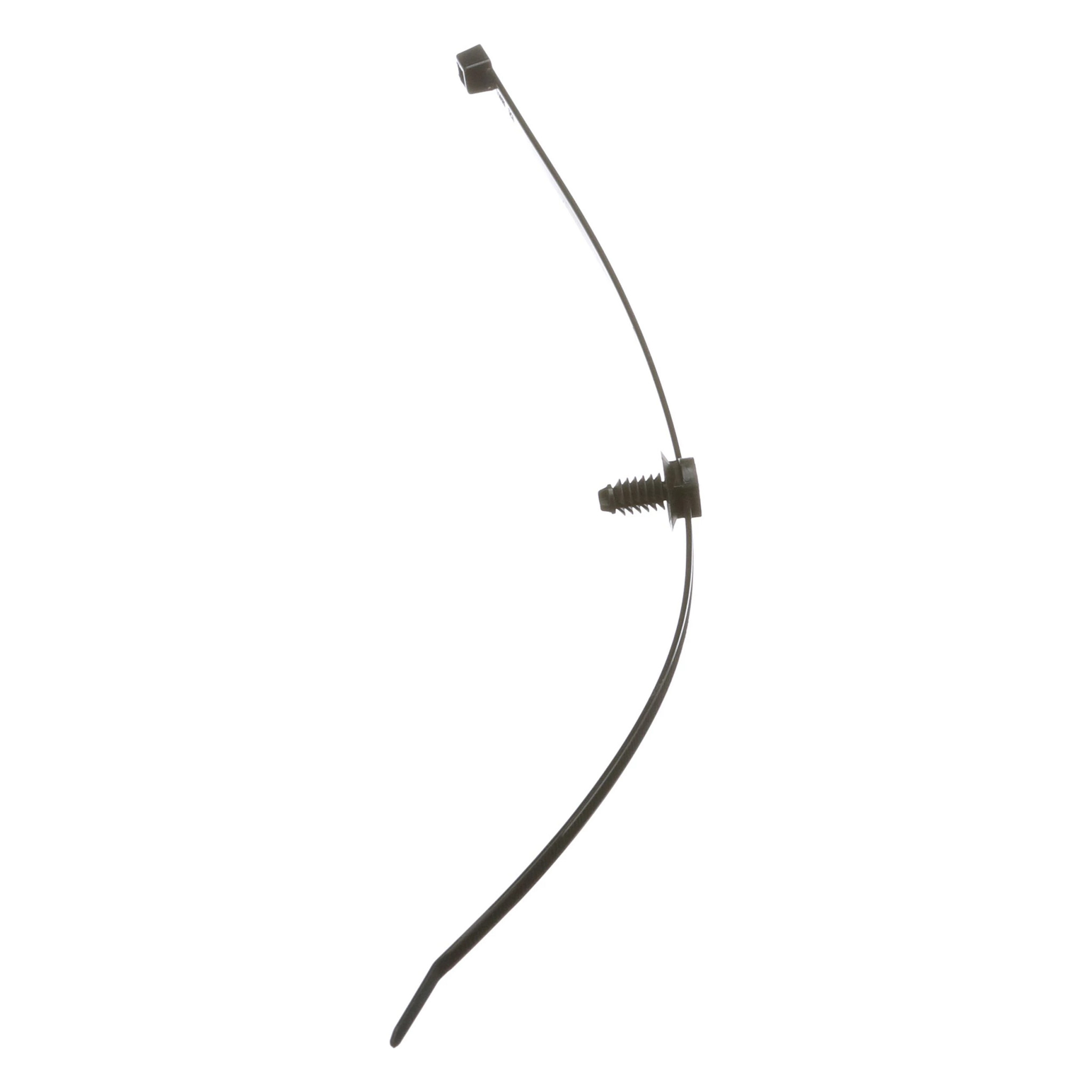 SECURING STRAP | CASECE | EU | PT