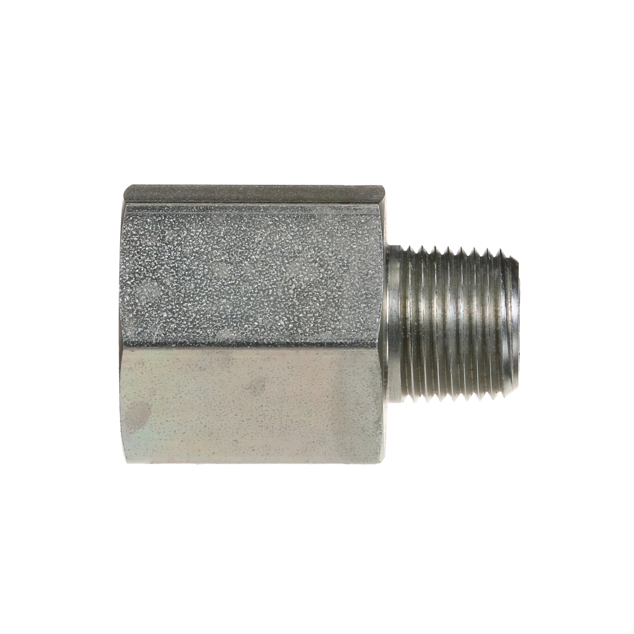 Adaptador | CASECE | BR | PT