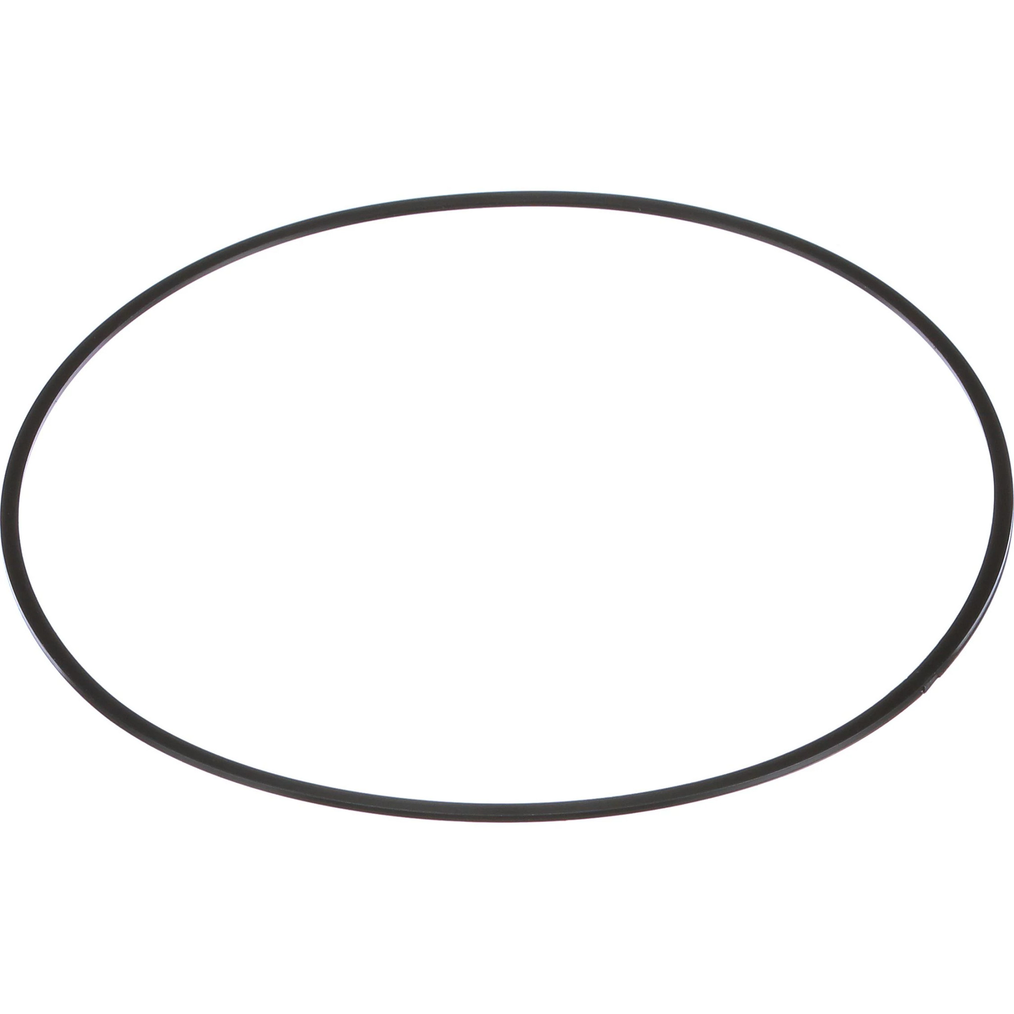 SEALING RING | NEWHOLLANDAG | SA | EN