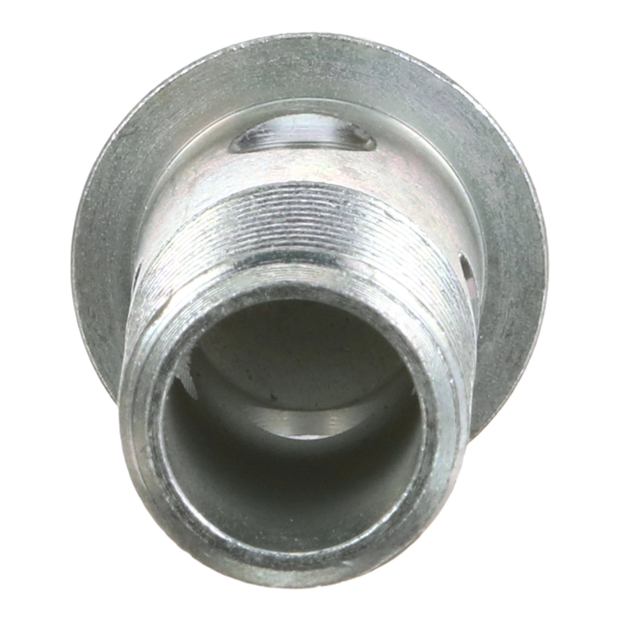 PARAFUSO DE BANJO | CASEIH | EU | PT