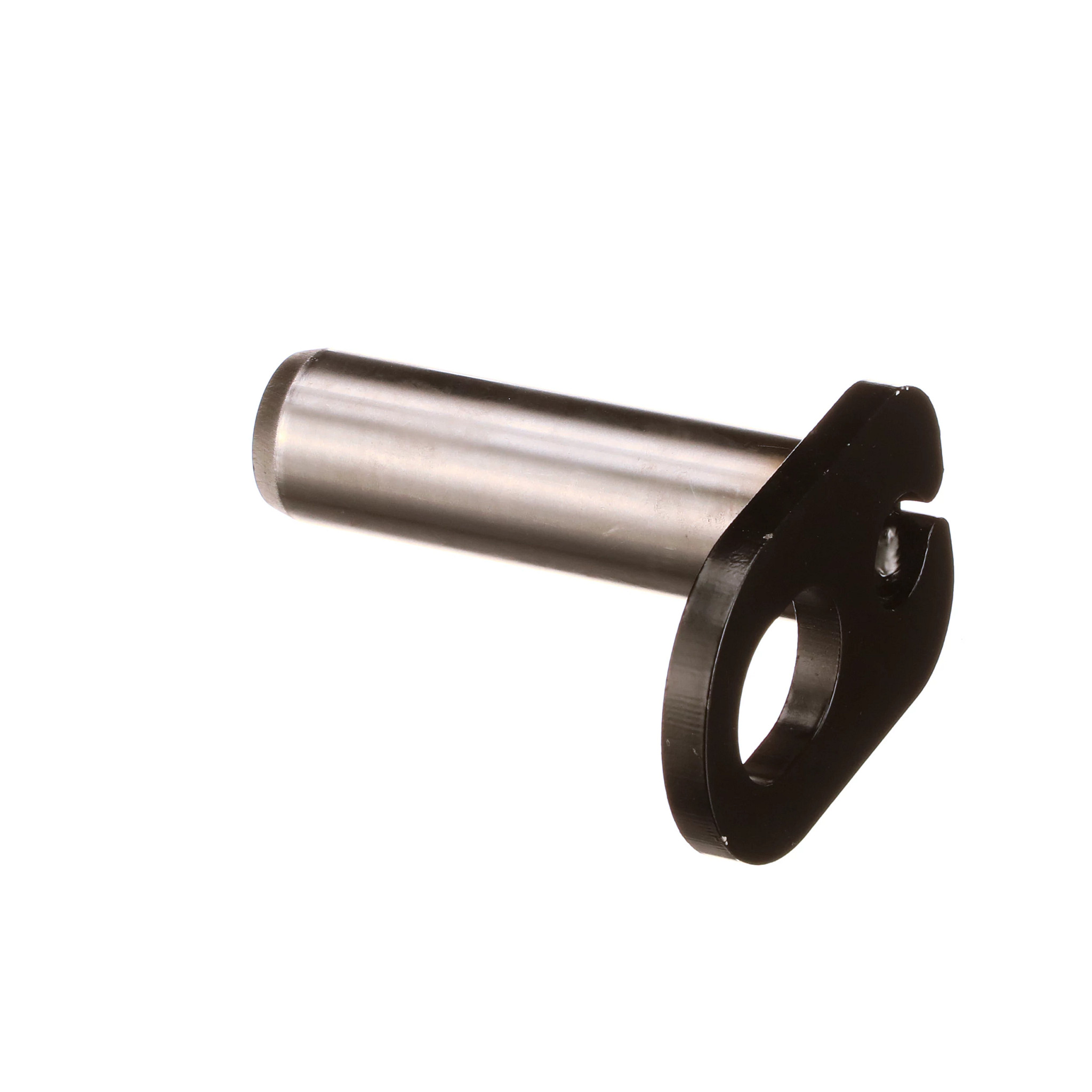 Pino | CASECE | BR | PT