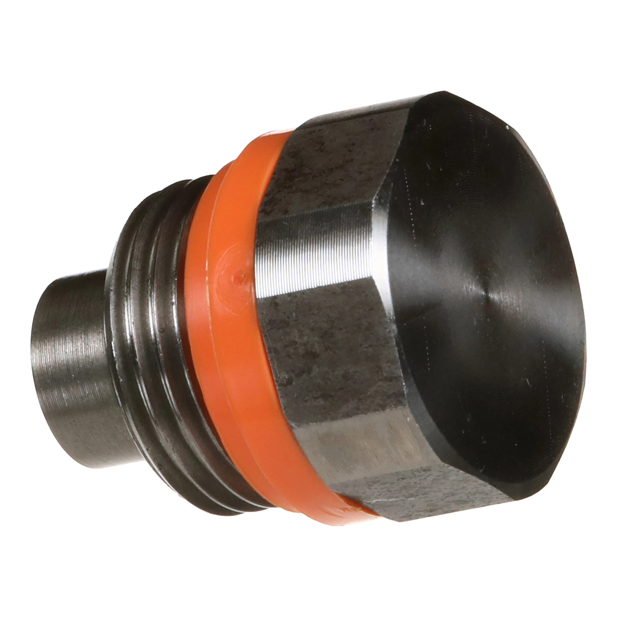 PLUG | CASECE | US | EN