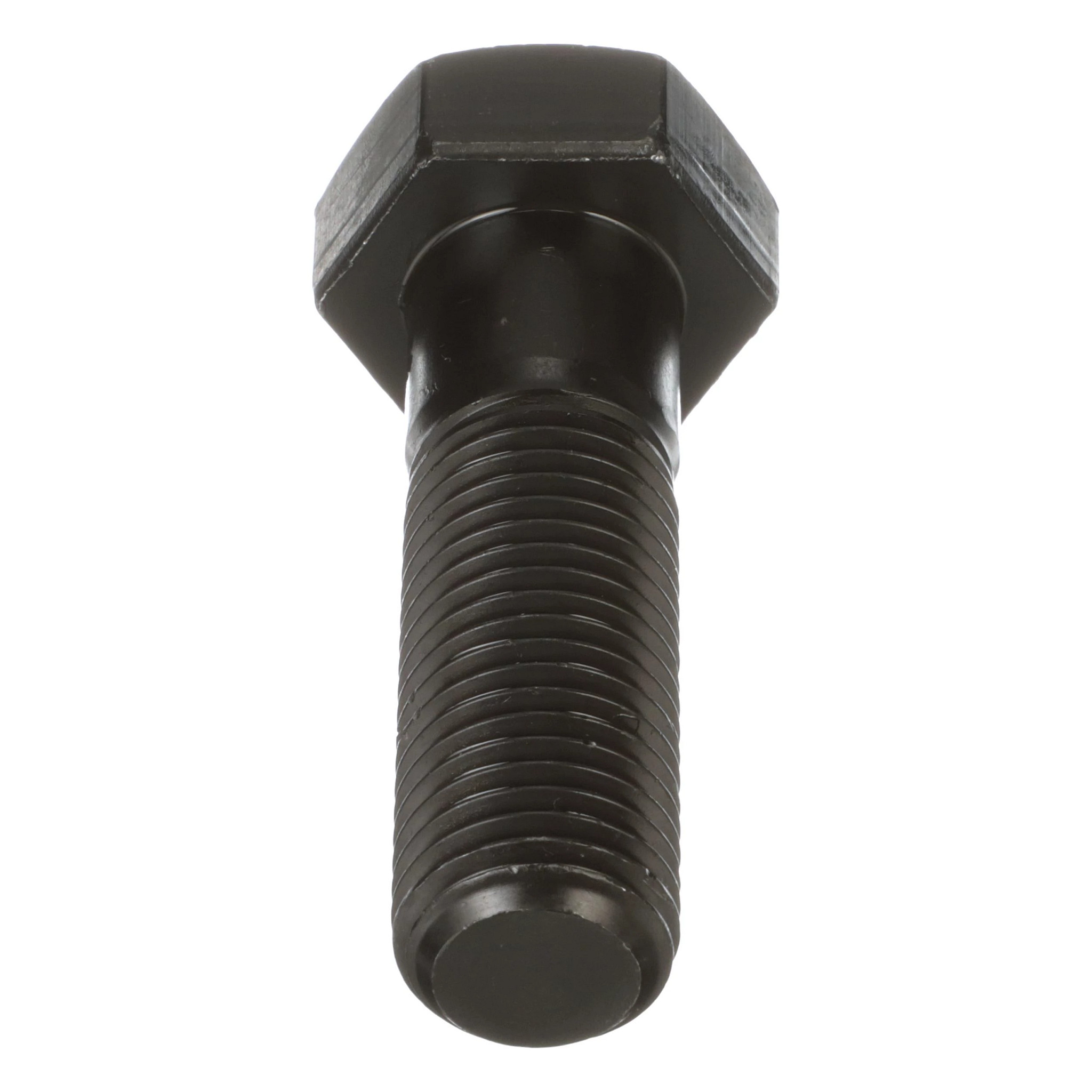 BOLT | CASECE | US | EN