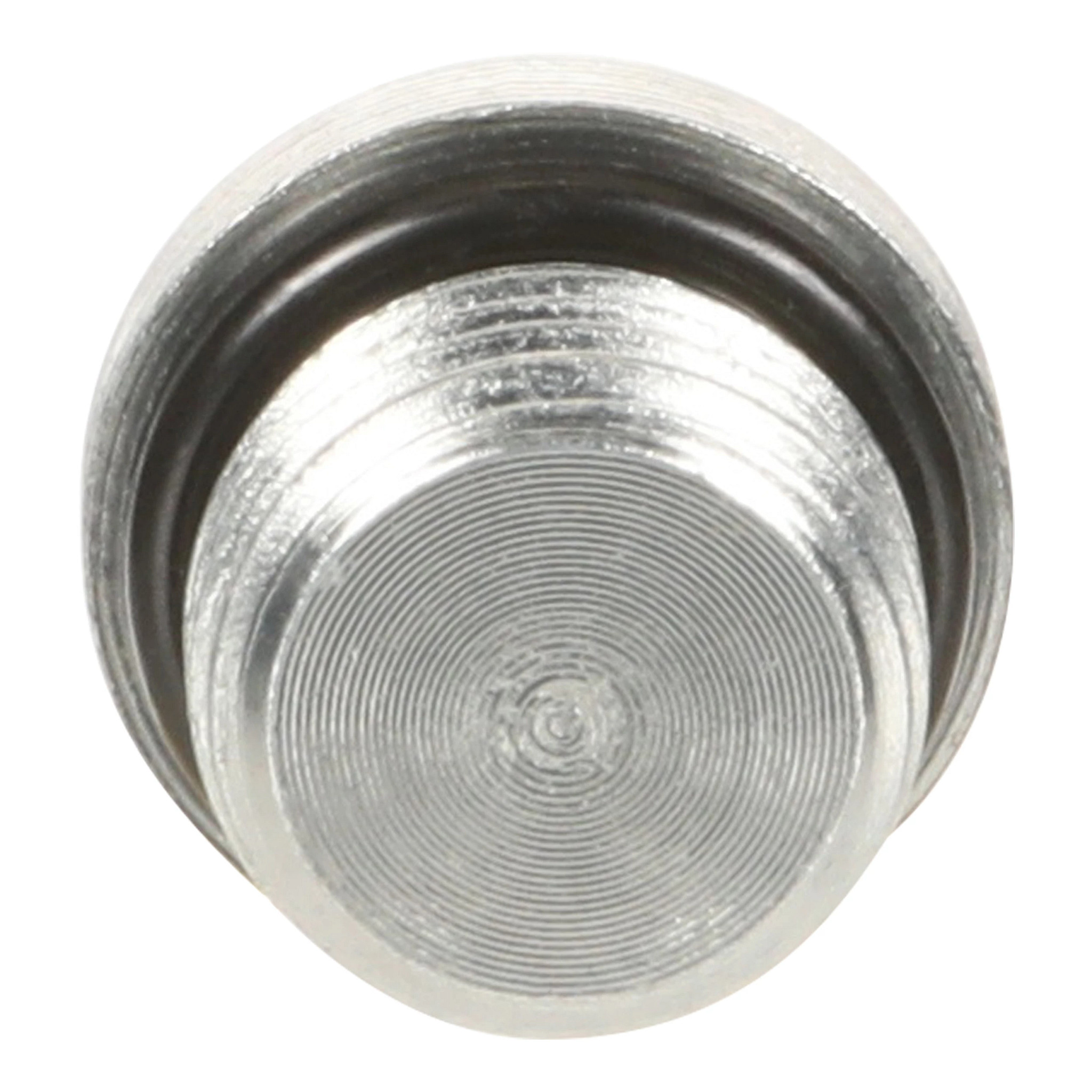 PLUG | CASECE | CA | EN