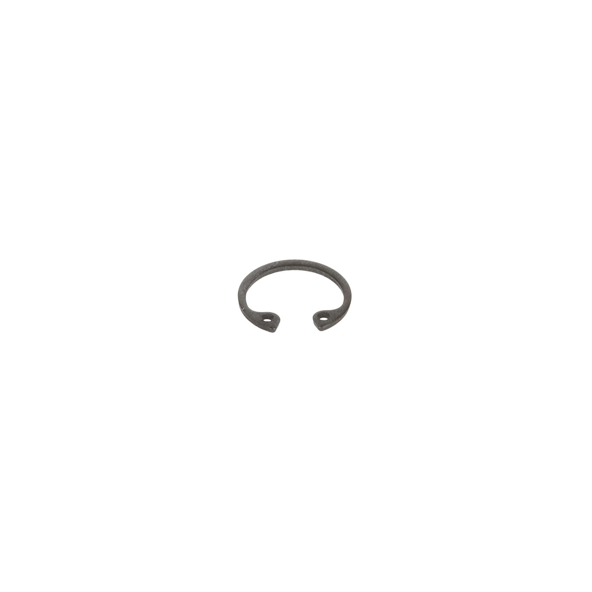 Snap Ring | CASECE | BR | PT