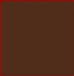 MS 44 Brown Enamel Paint - Aerosol Can | CASEIH | AU | EN