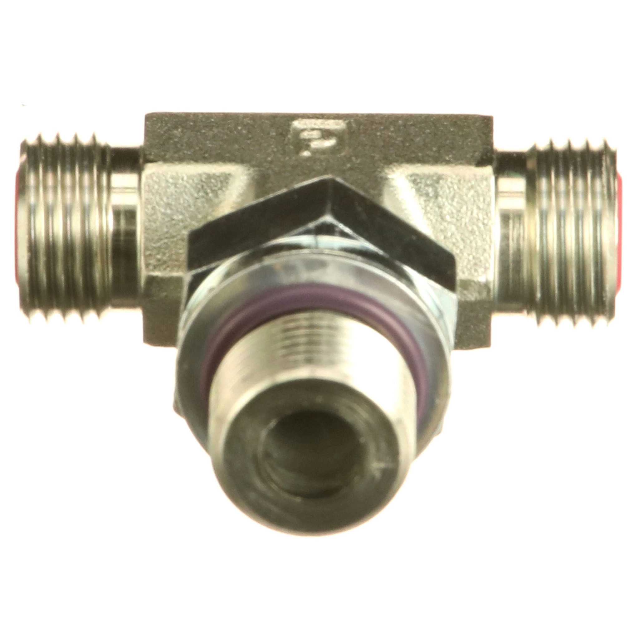 T-STÜCK | CASECE | EU | DE