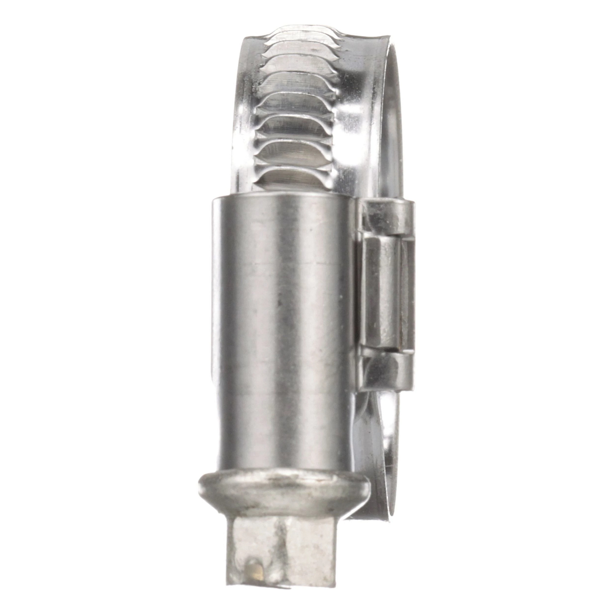 COLLIER | CASECE | EU | IT