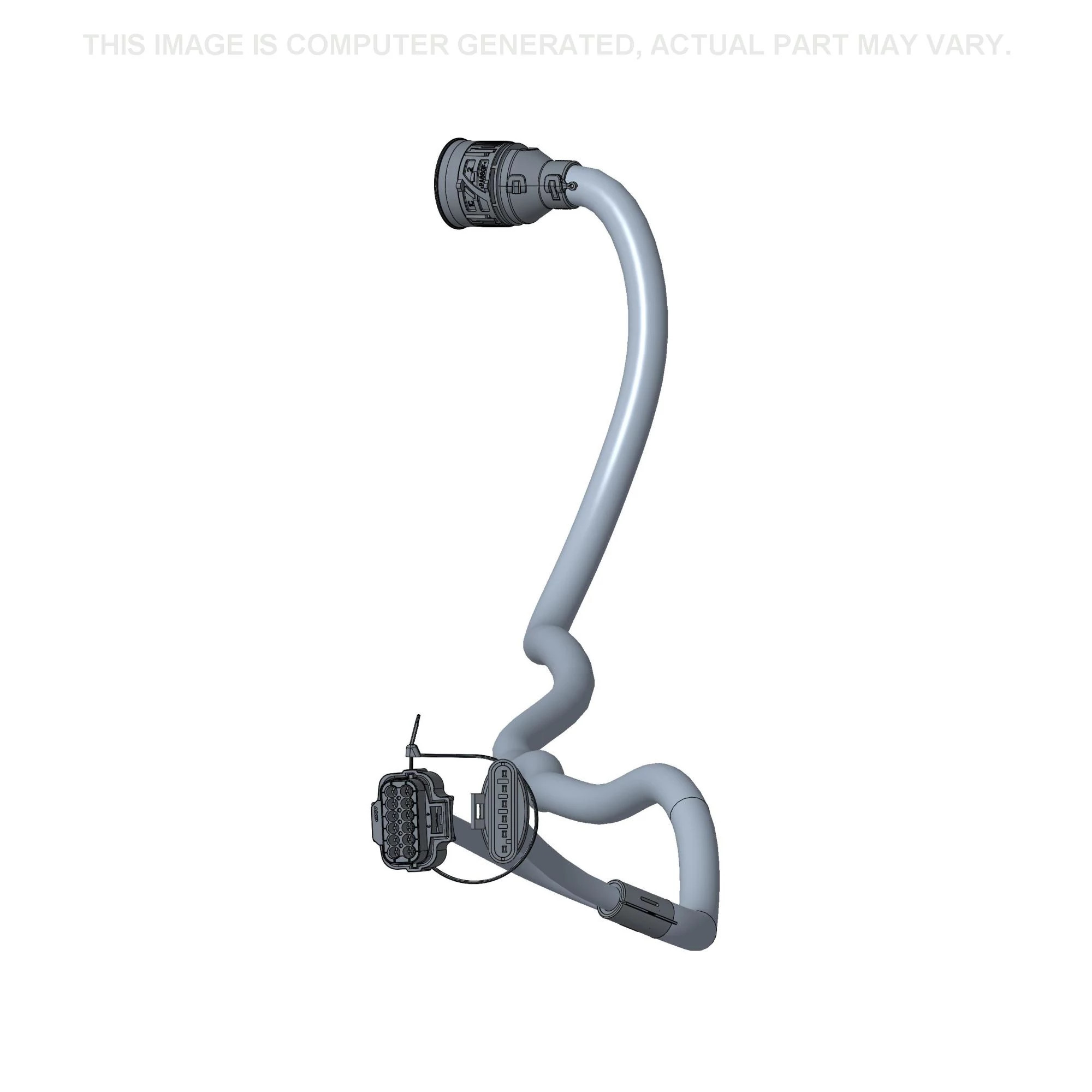 CHICOTE | CASECE | EU | PT