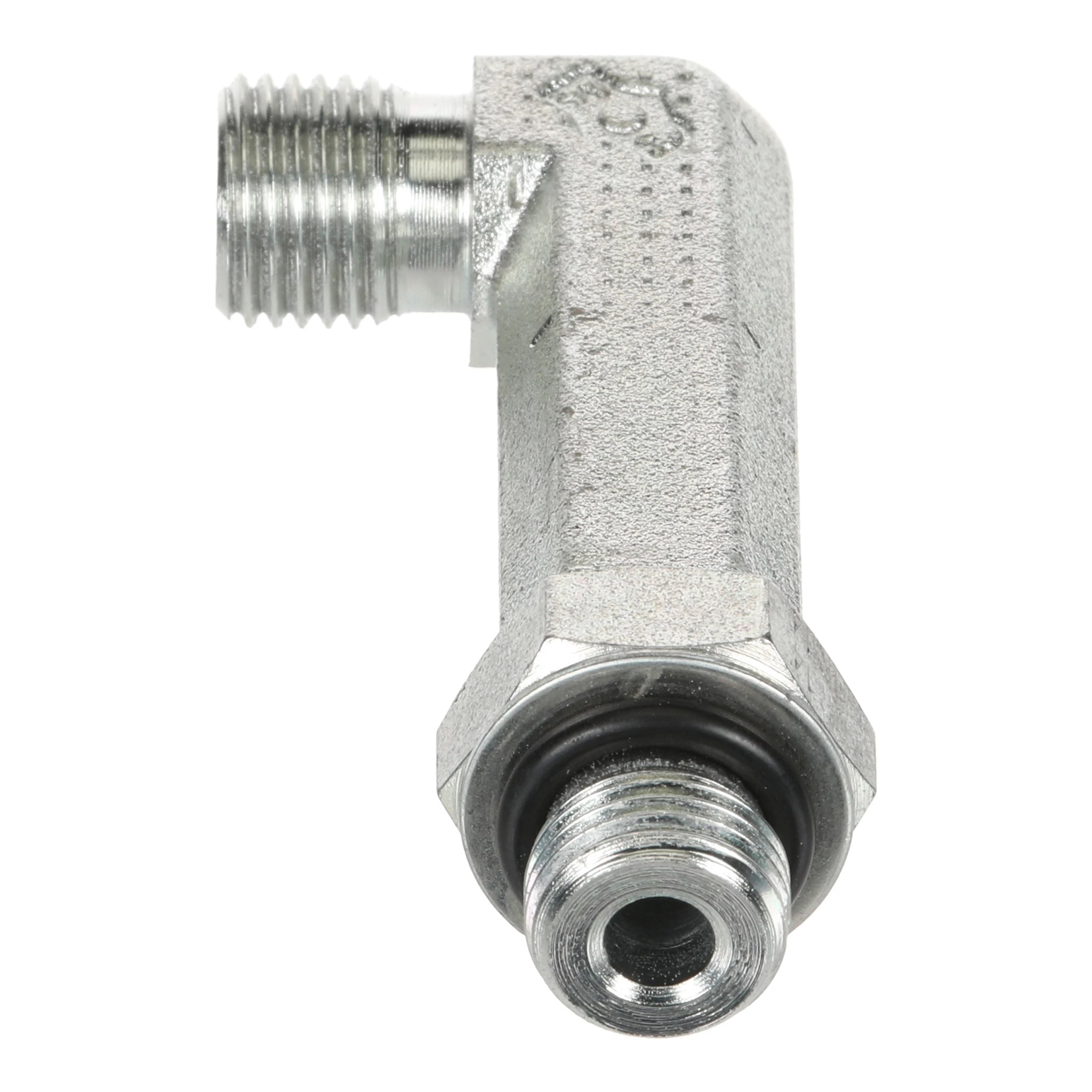 GOMITO | CASECE | EU | IT