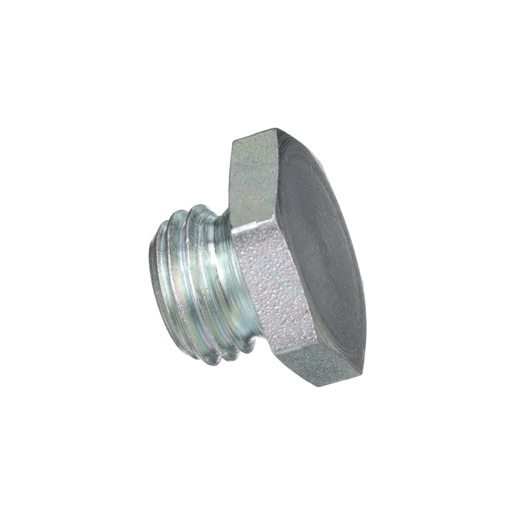 HEX PLUG | CASECE | SA | EN