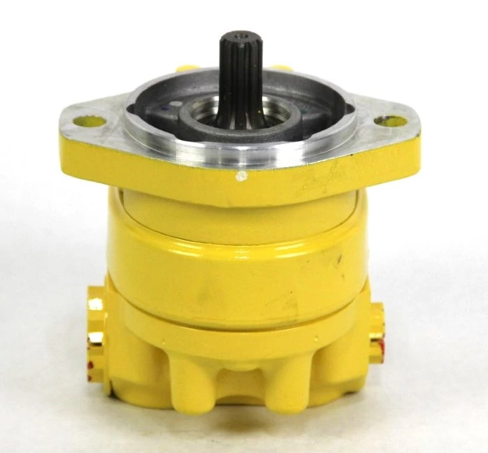 Reman Hydraulic Pump | CASEIH | US | EN