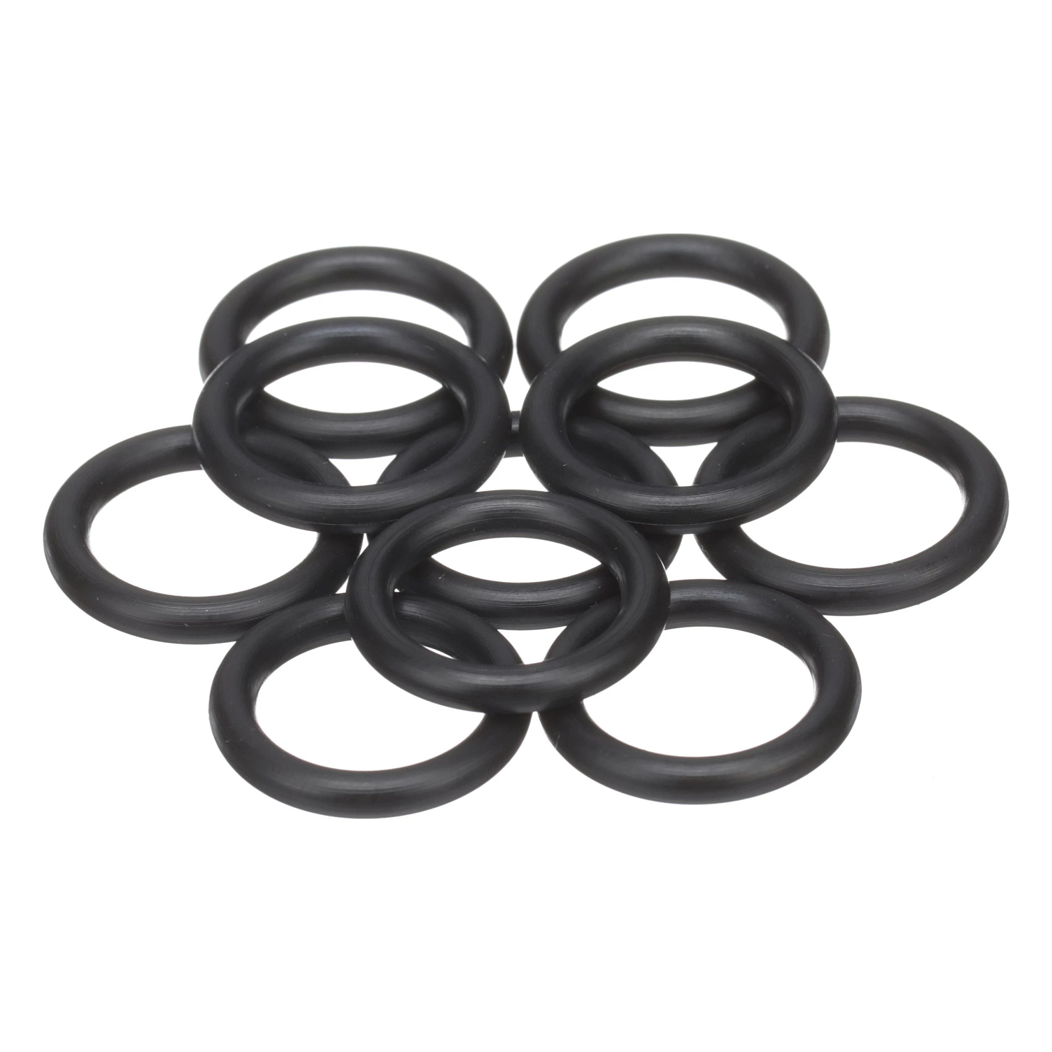 ANELLO TOROIDALE | CASECE | EU | NL