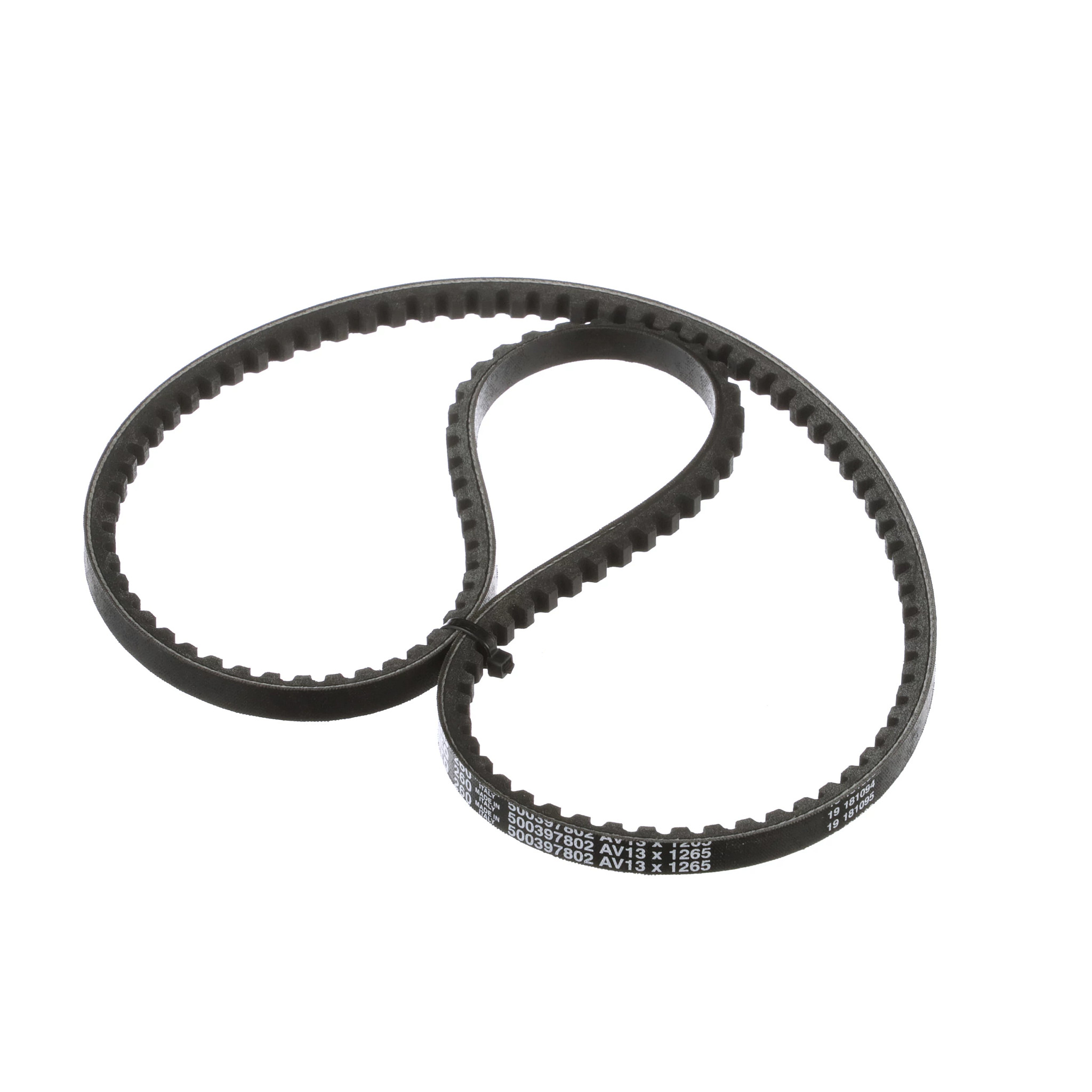 Engine Belt | CASECE | BR | PT
