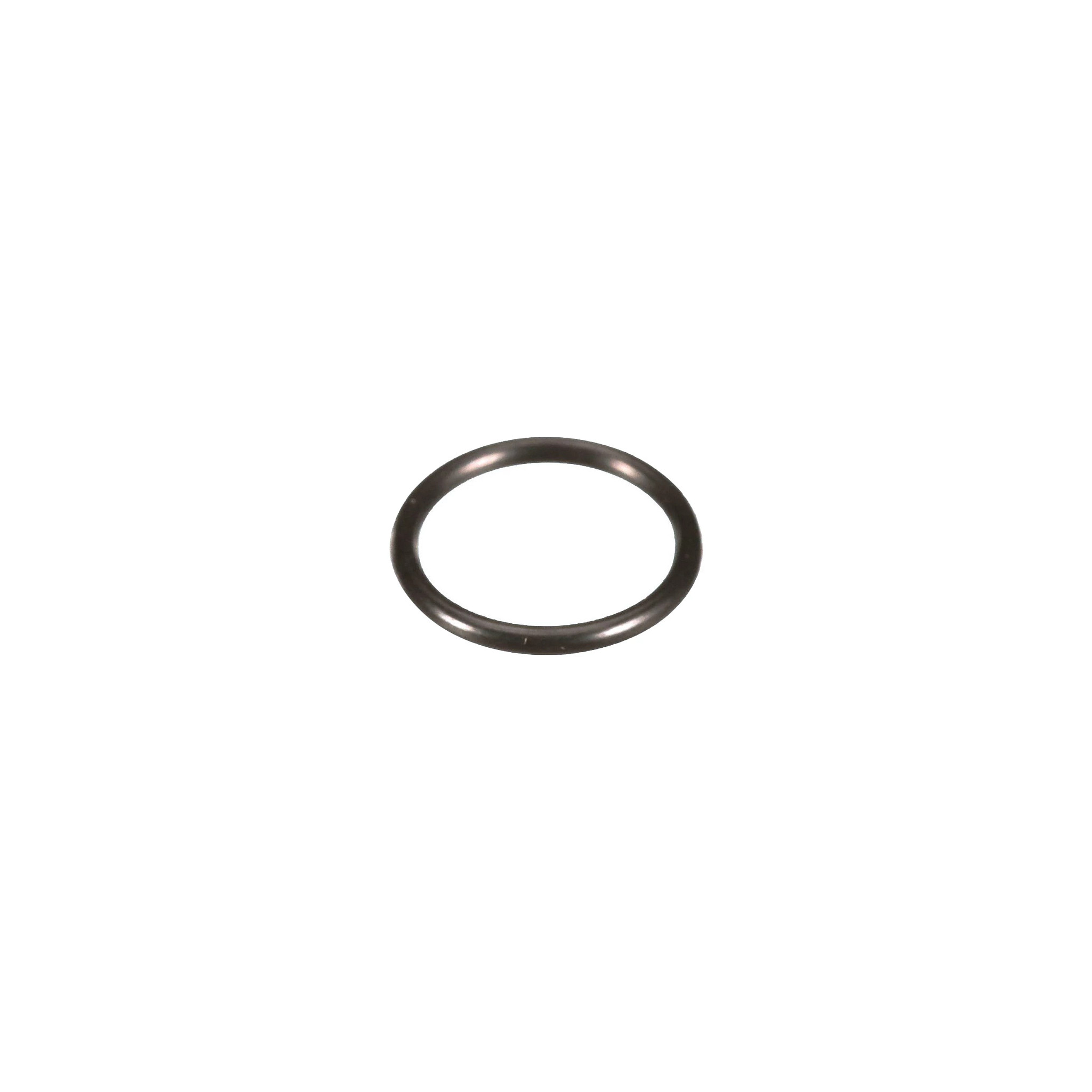 O-RING | CASECE | EU | DE