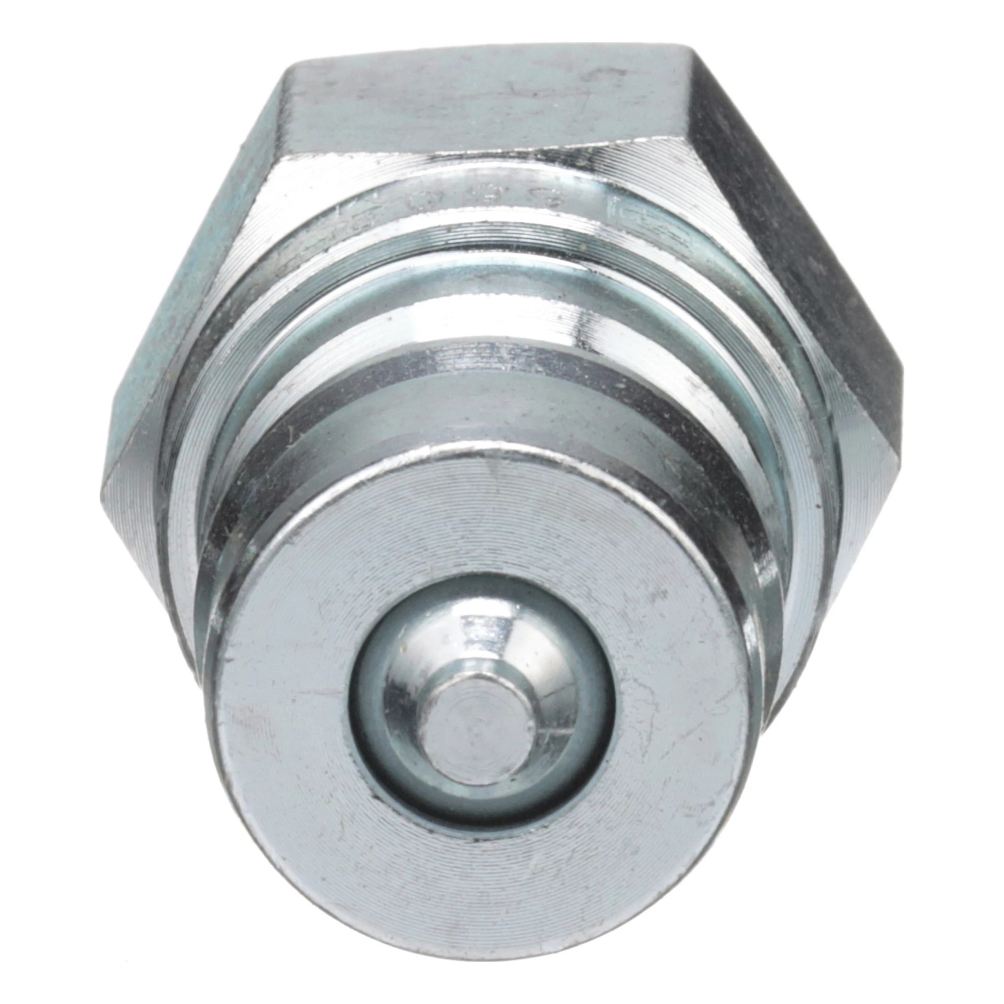 QUICK MALE COUPLING | CASECE | CA | EN