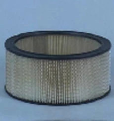 Filtre à air Fleetguard | MILLER | CA | FR