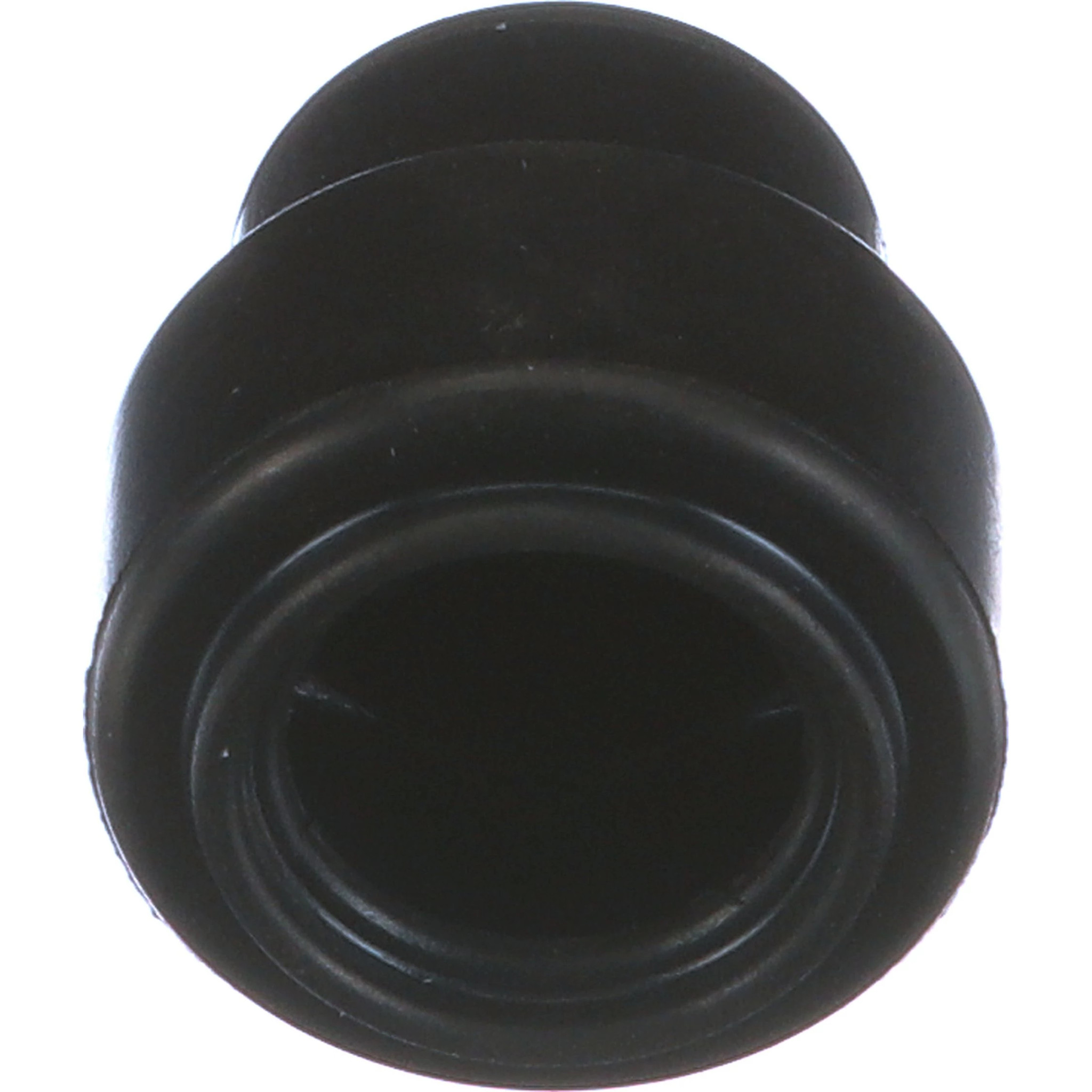 CAP | CASECE | EU | EN