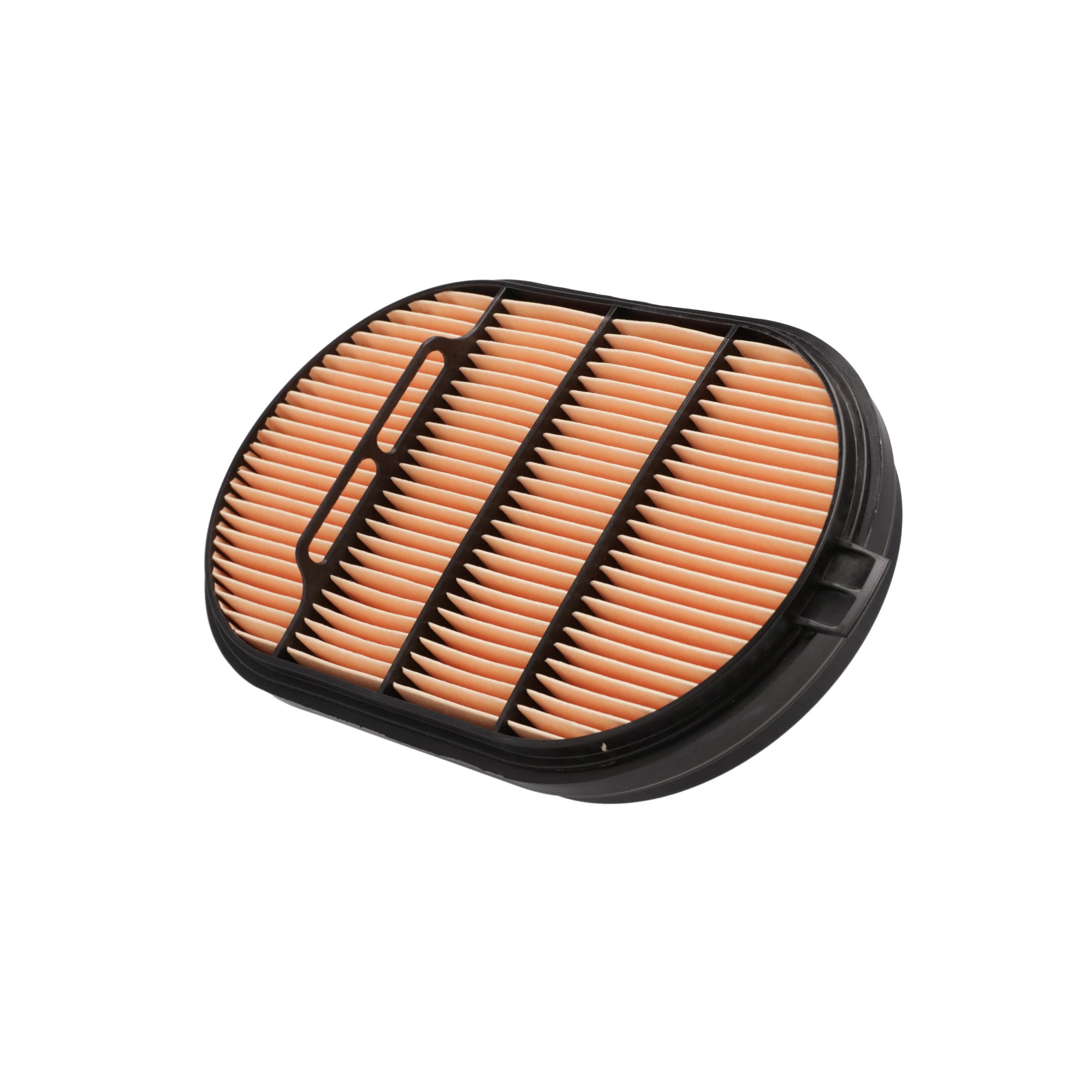 FILTRO DE AIRE | CASECE | EU | ES