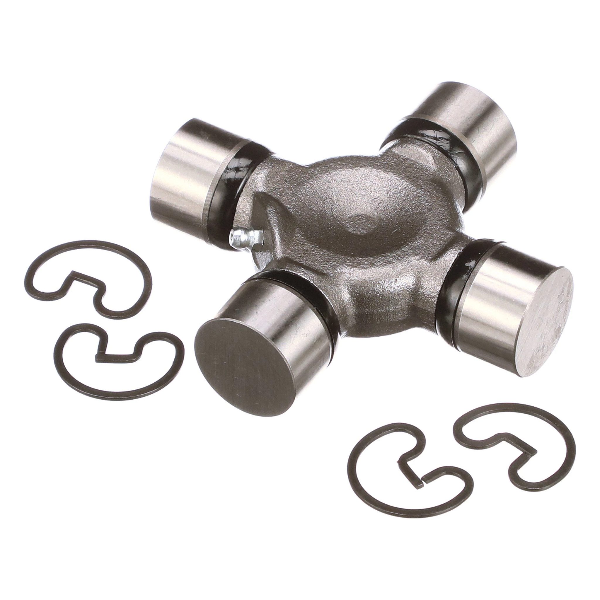 SPIDER | CASECE | CA | EN