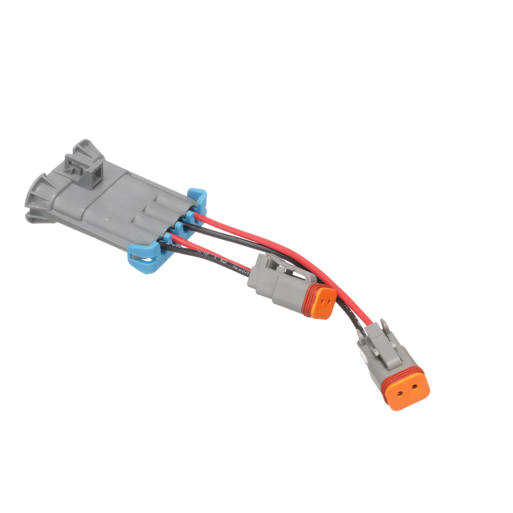 CHICOTE | CASECE | BR | PT