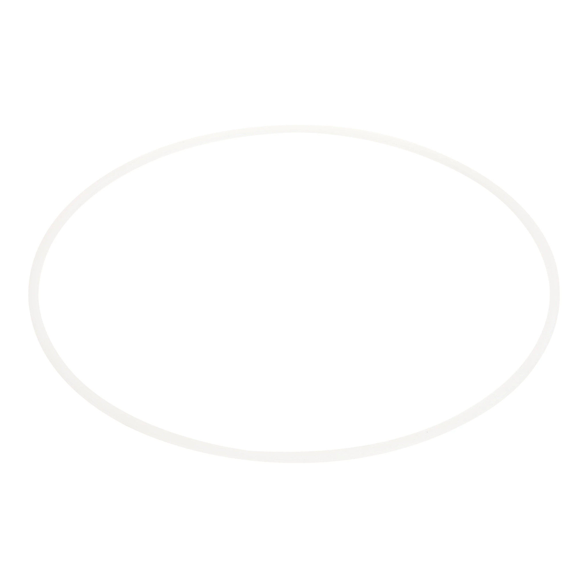 ANILLO DE SEGURIDAD | CASEIH | EU | FR