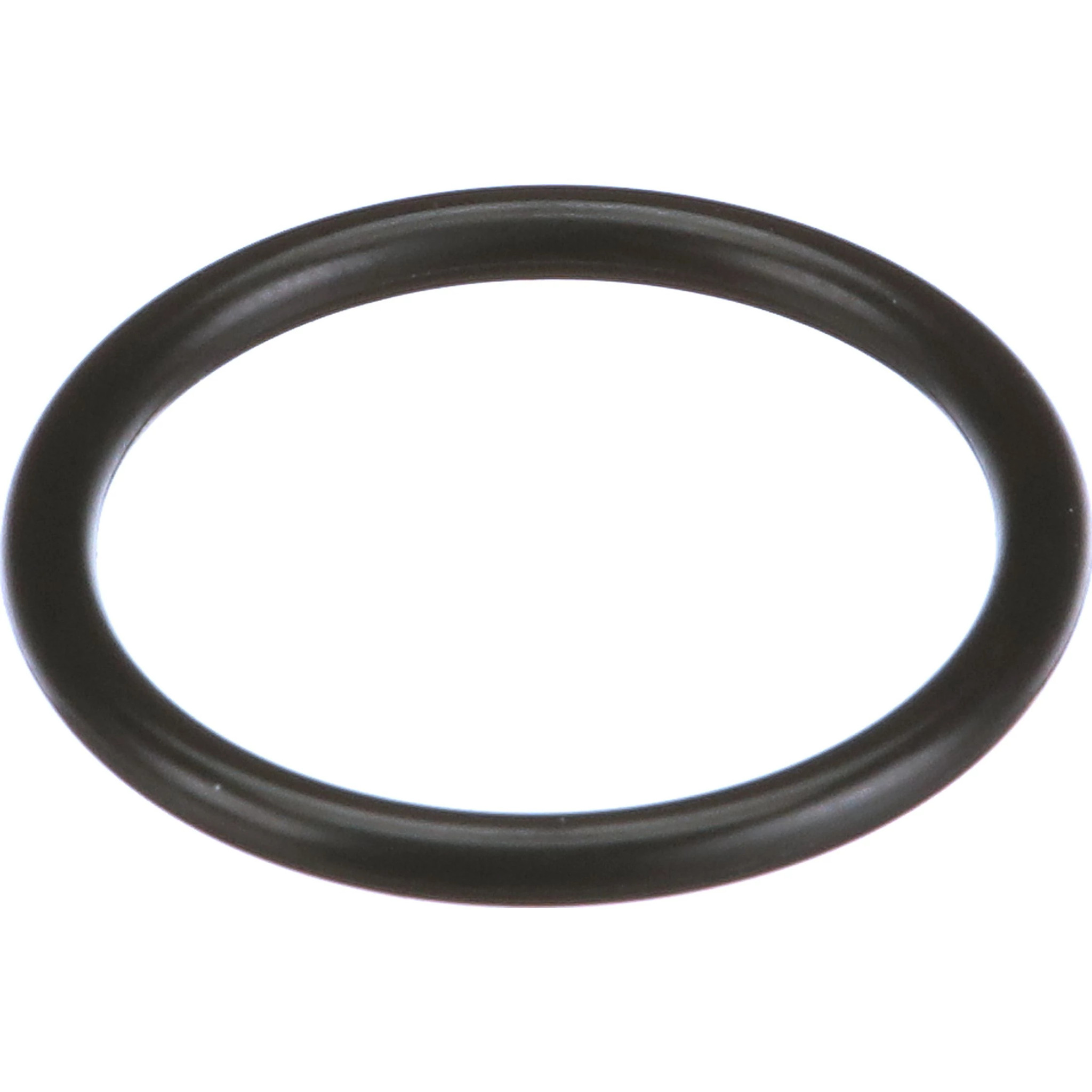 O-RING | CASECE | CA | EN