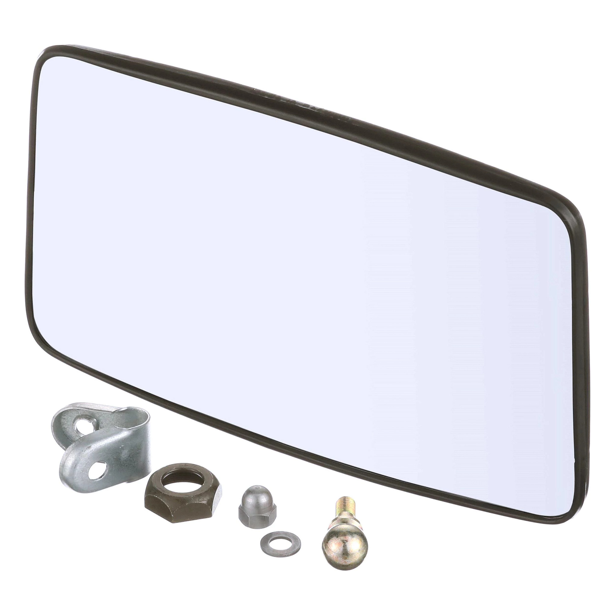 Rückspiegelbaugruppe - 237 mm B x 147 mm H | CASEIH | EU | FR