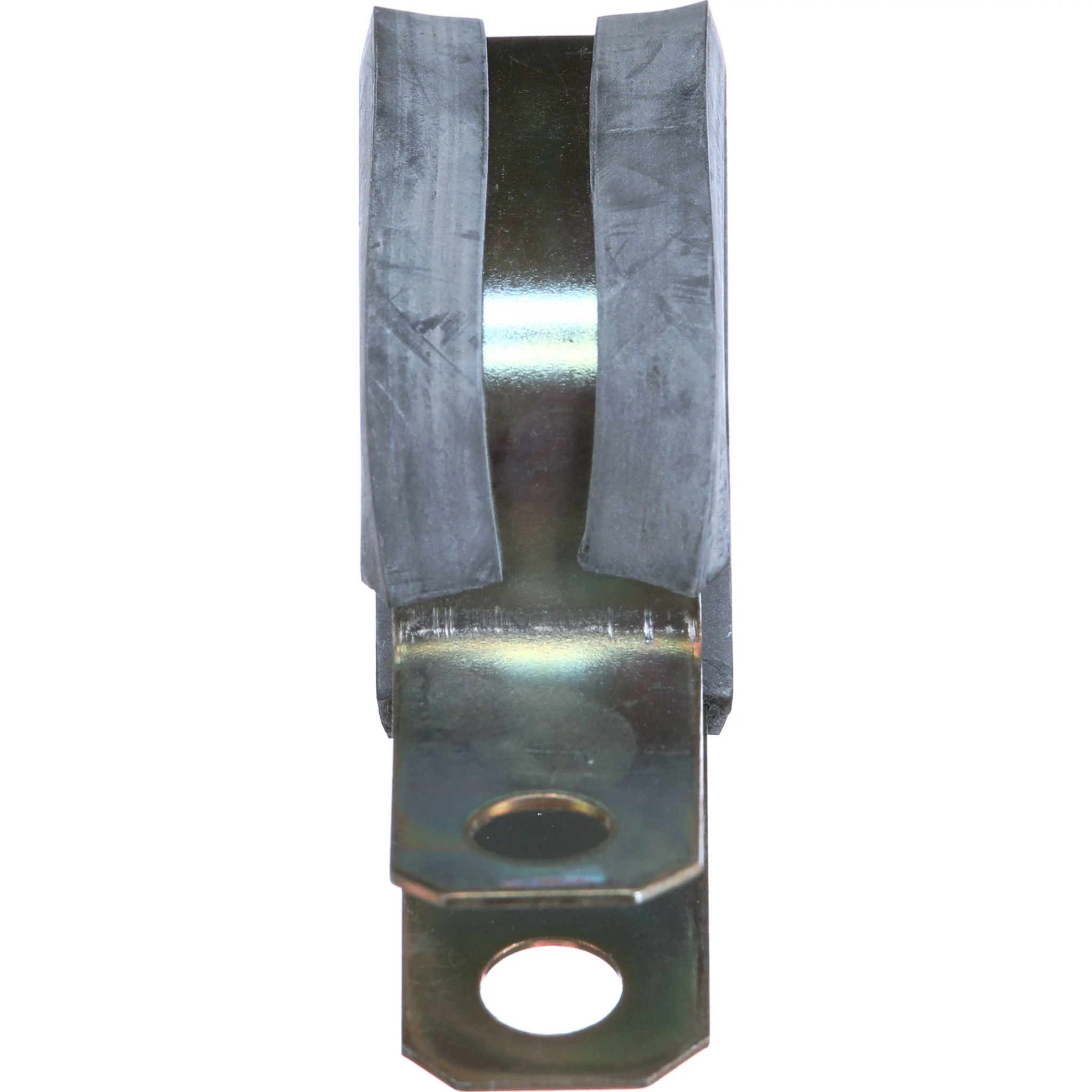 CLAMP | CASECE | CA | EN